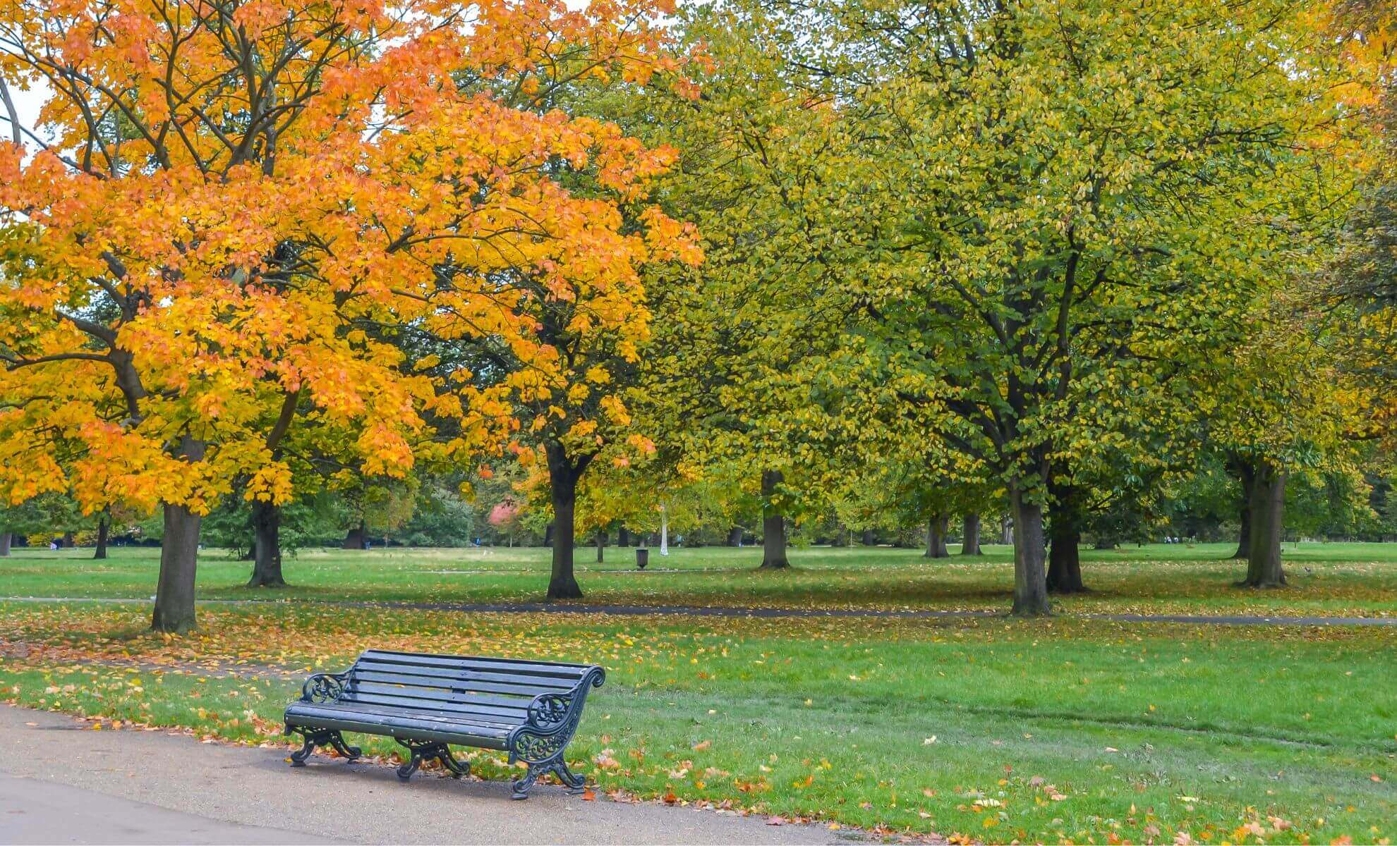 Hyde Park, Londres, Angleterre