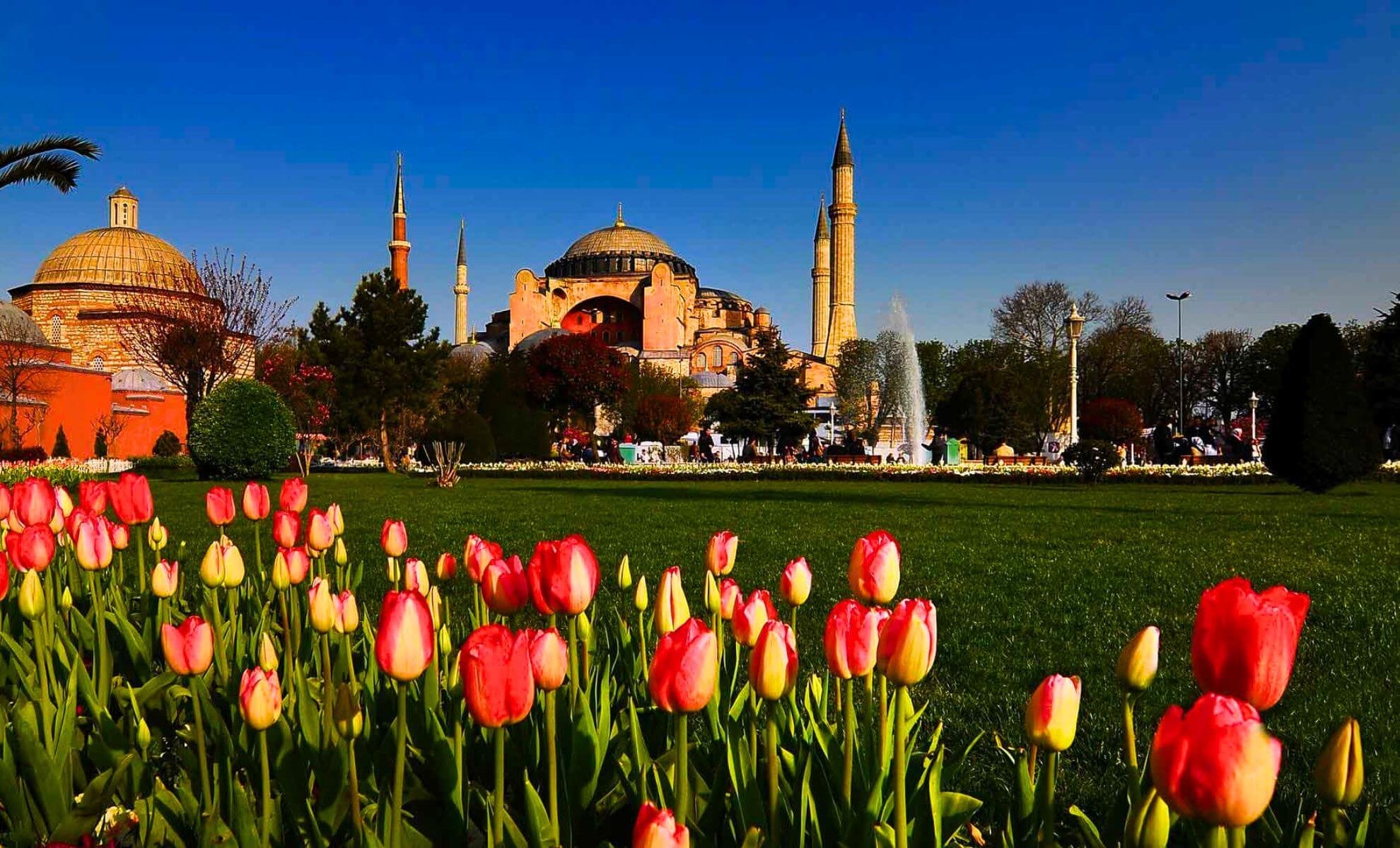Istanbul, festival de la tulipe
