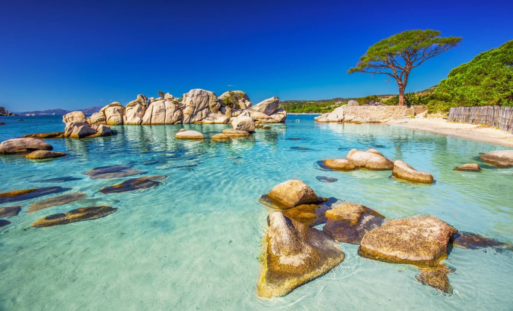 La plage de Palombaggia, l'île de Corse en France