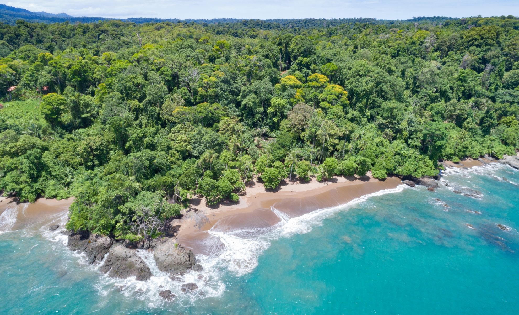 Le Parc National Corcovado, Costa Rica