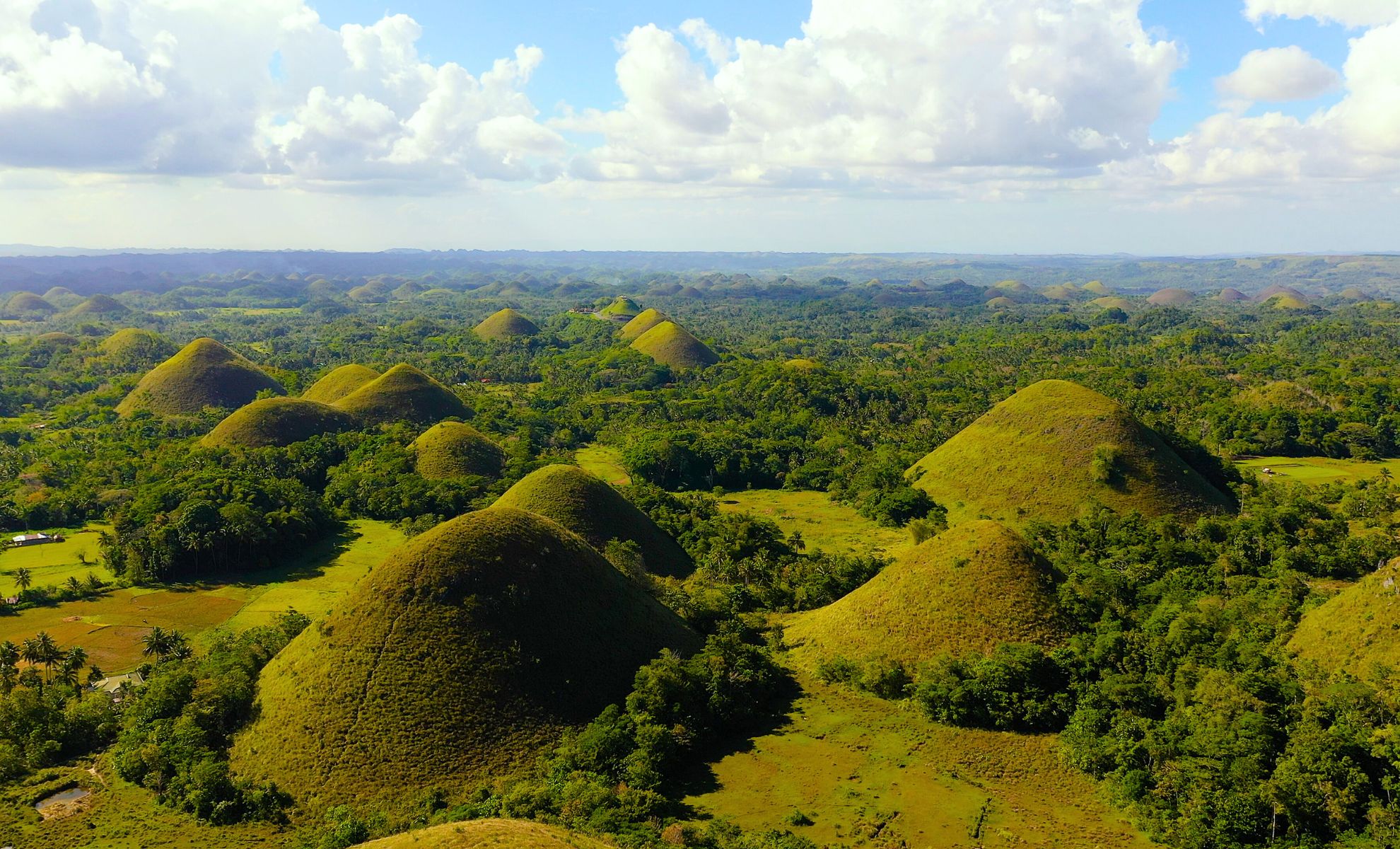 Les Chocolate hills, île de Bohol, Philippines