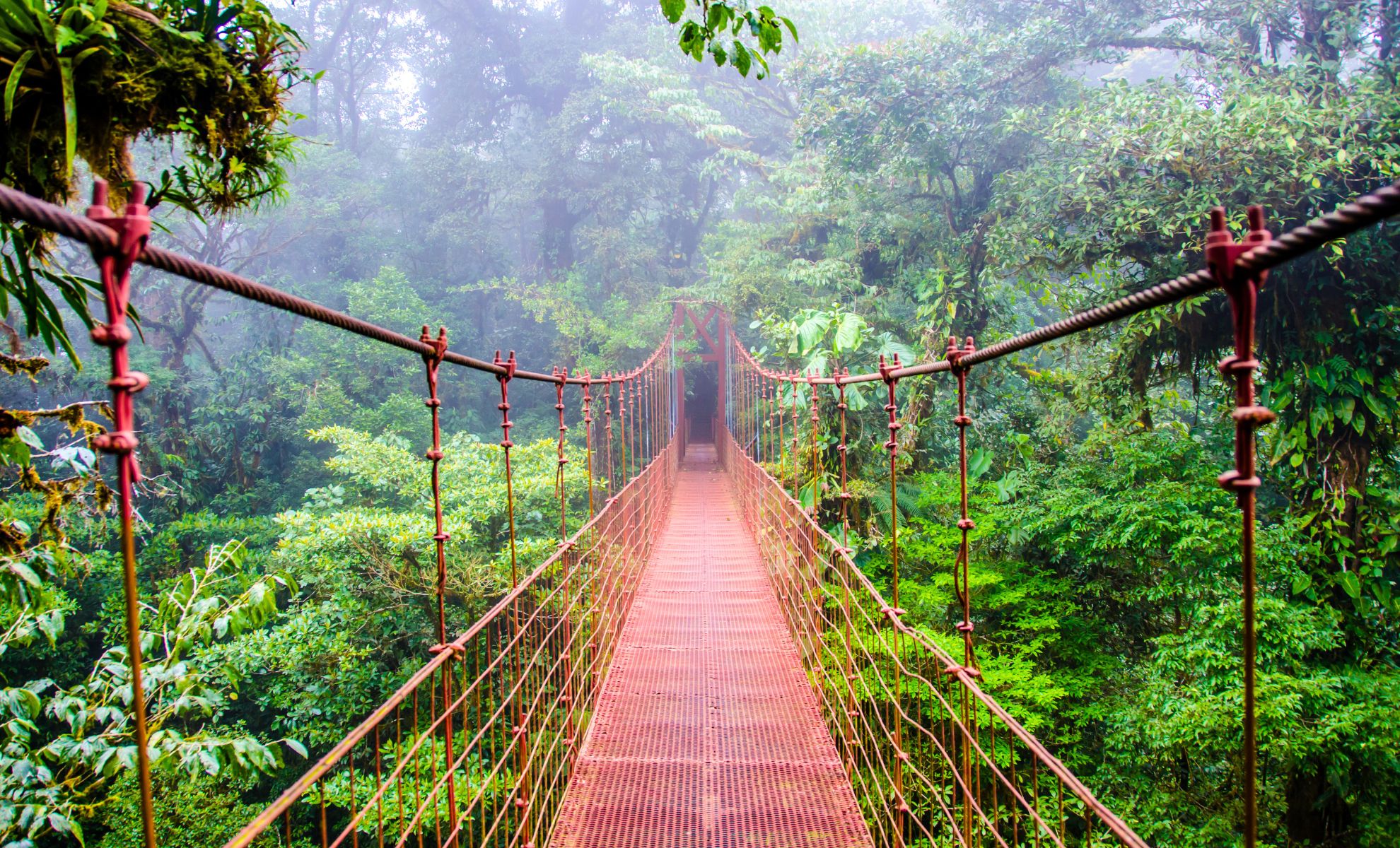 Réserve naturelle de Monteverde, Costa Rica