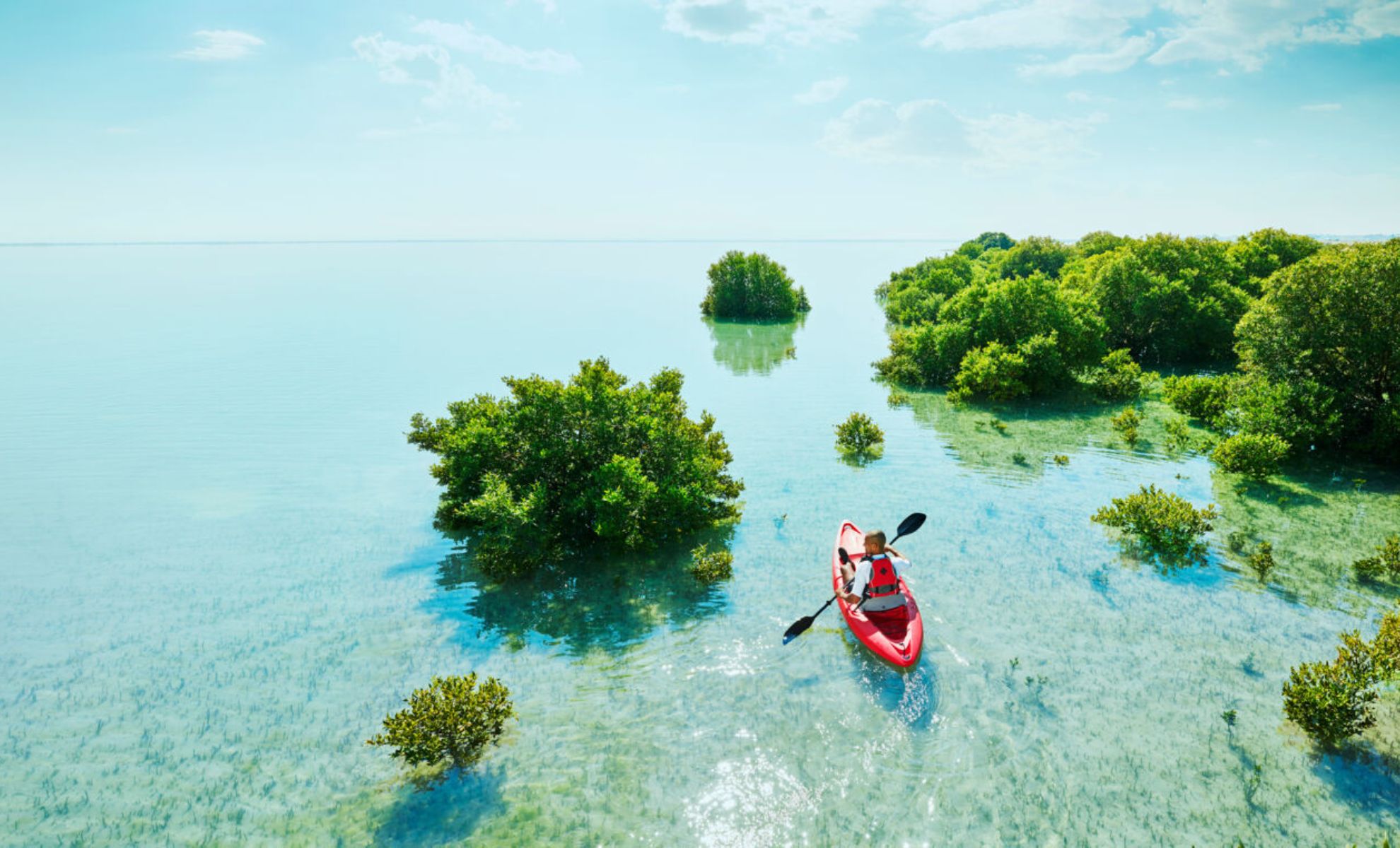 Les mangroves d’Al Thakira, Qatar