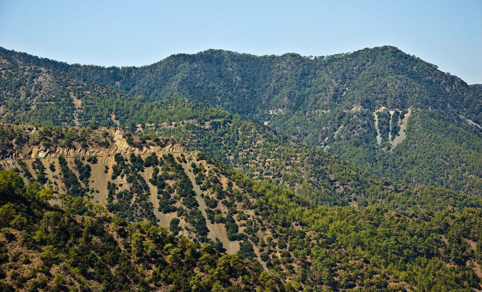 Massif du Troodos à Chypre