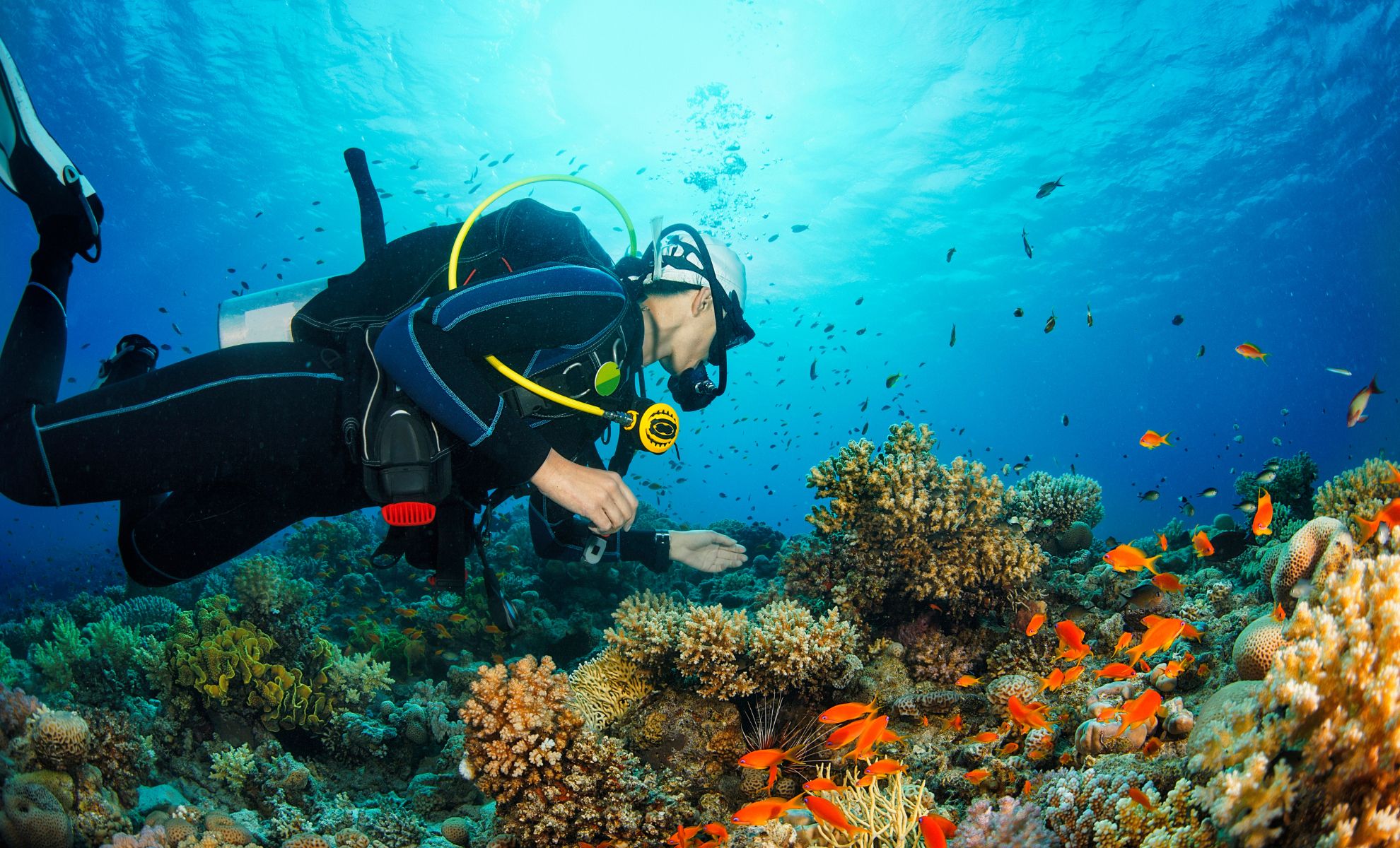 Plongée sous-marine à Punta Cana, la République dominicaine