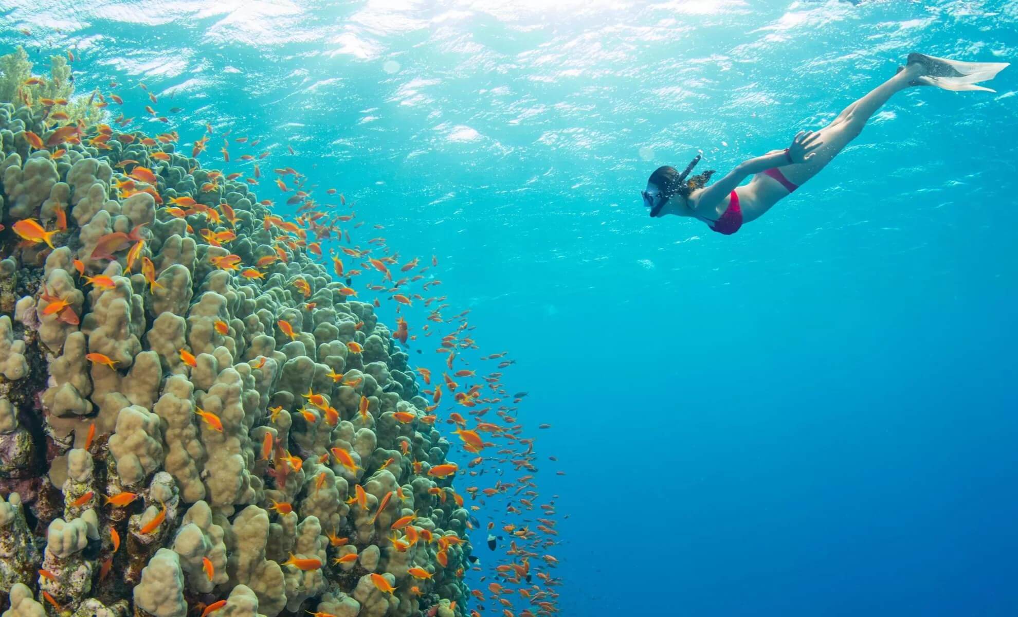 Snorkeling à Hawaï