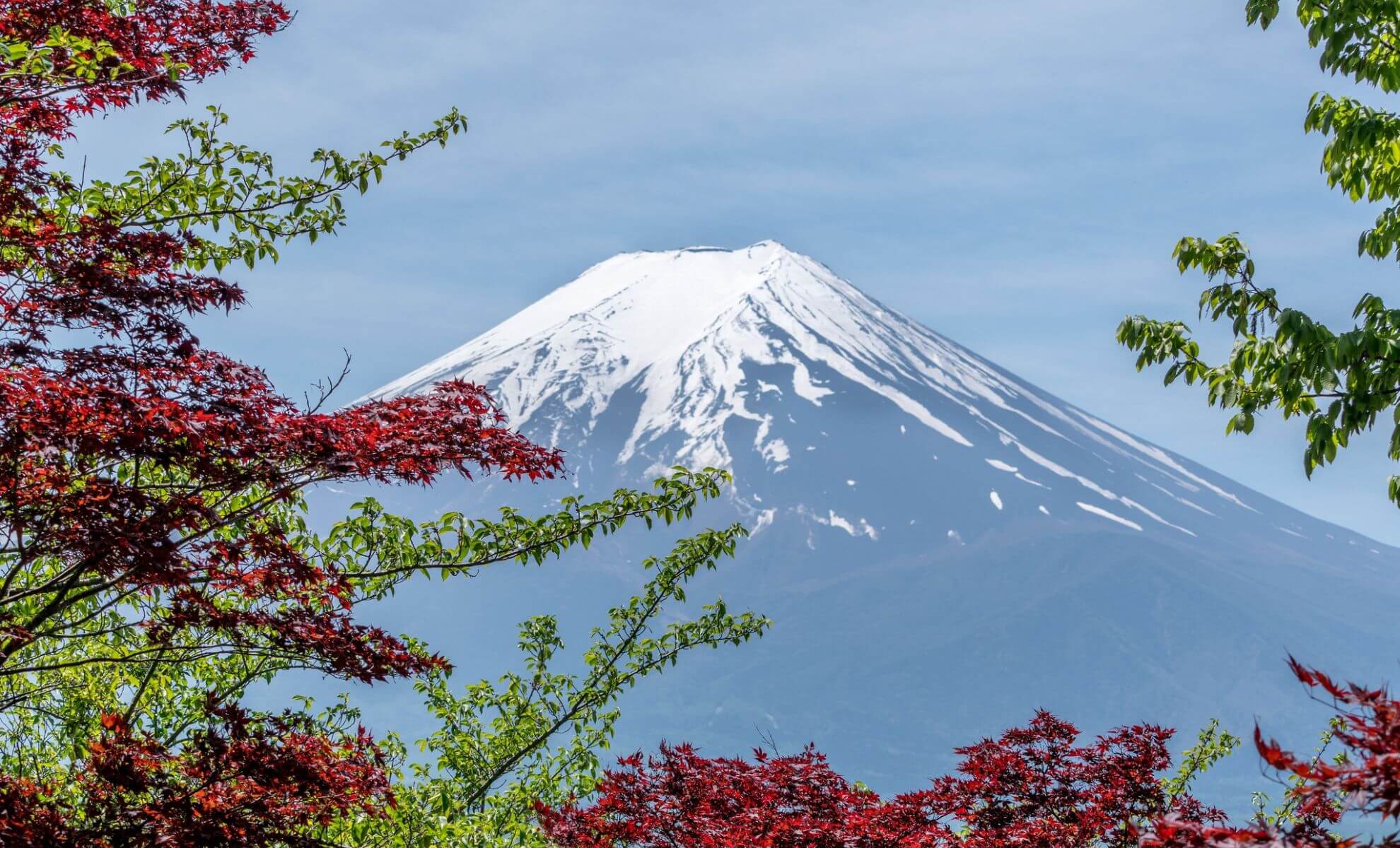 le Mont Fuji, Tokyo, Japan