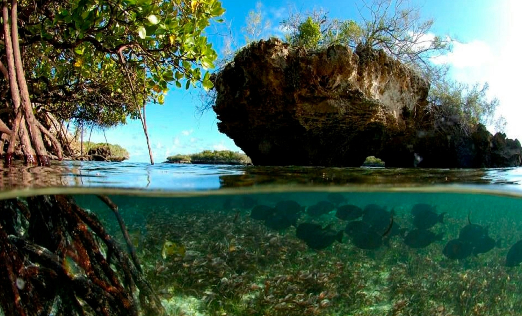 L'atoll d'Aldabra aux Seychelles
