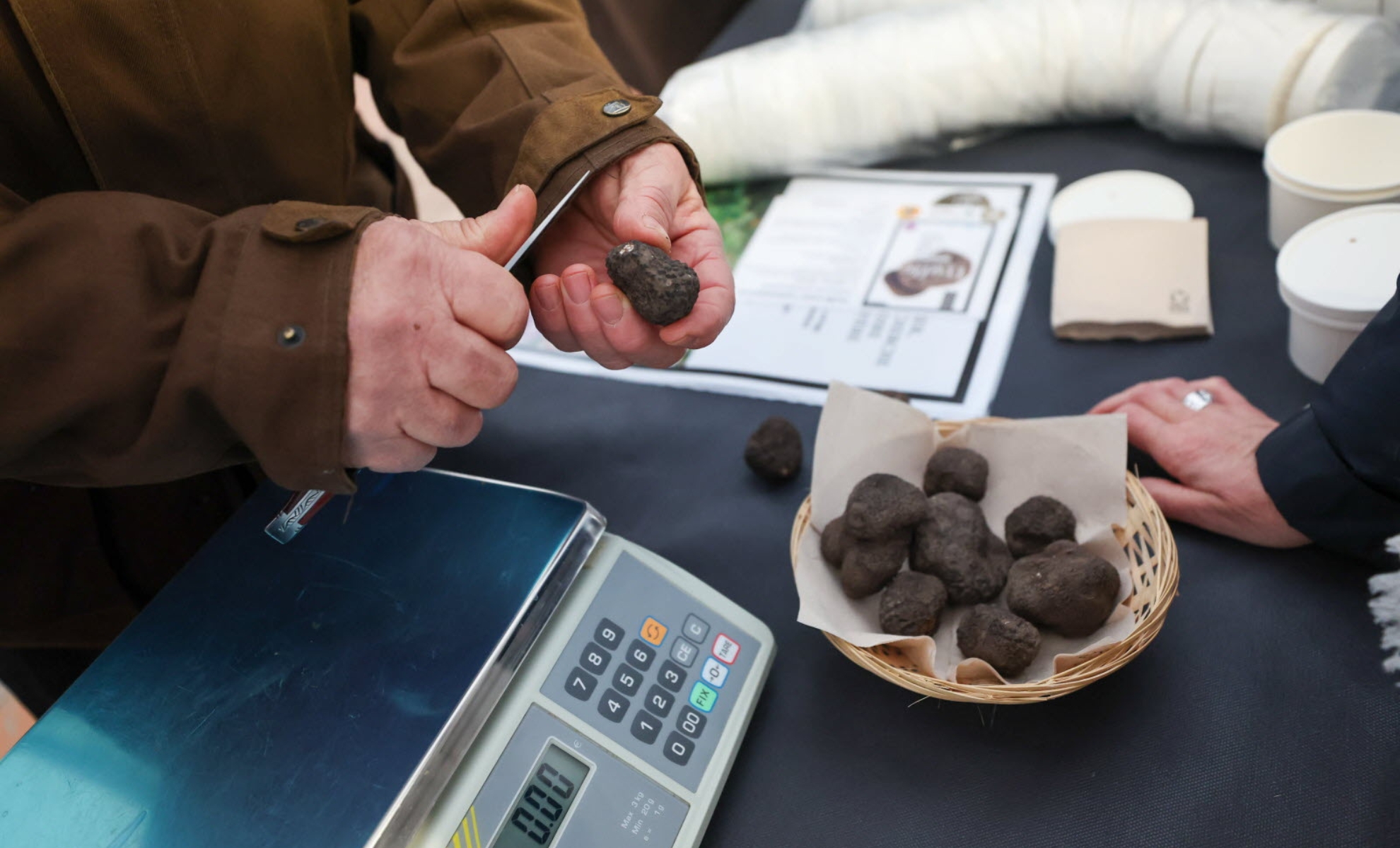 Les truffes noires de la Drôme