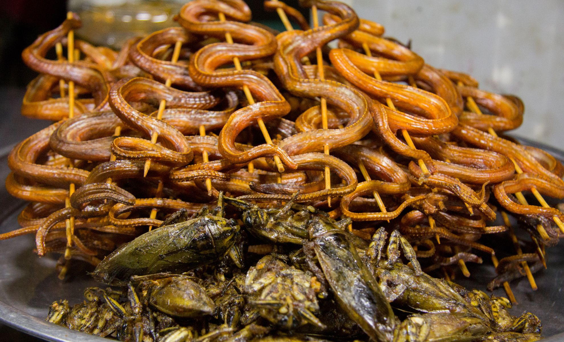Serpent frit, plat exotique de la Thaïlande