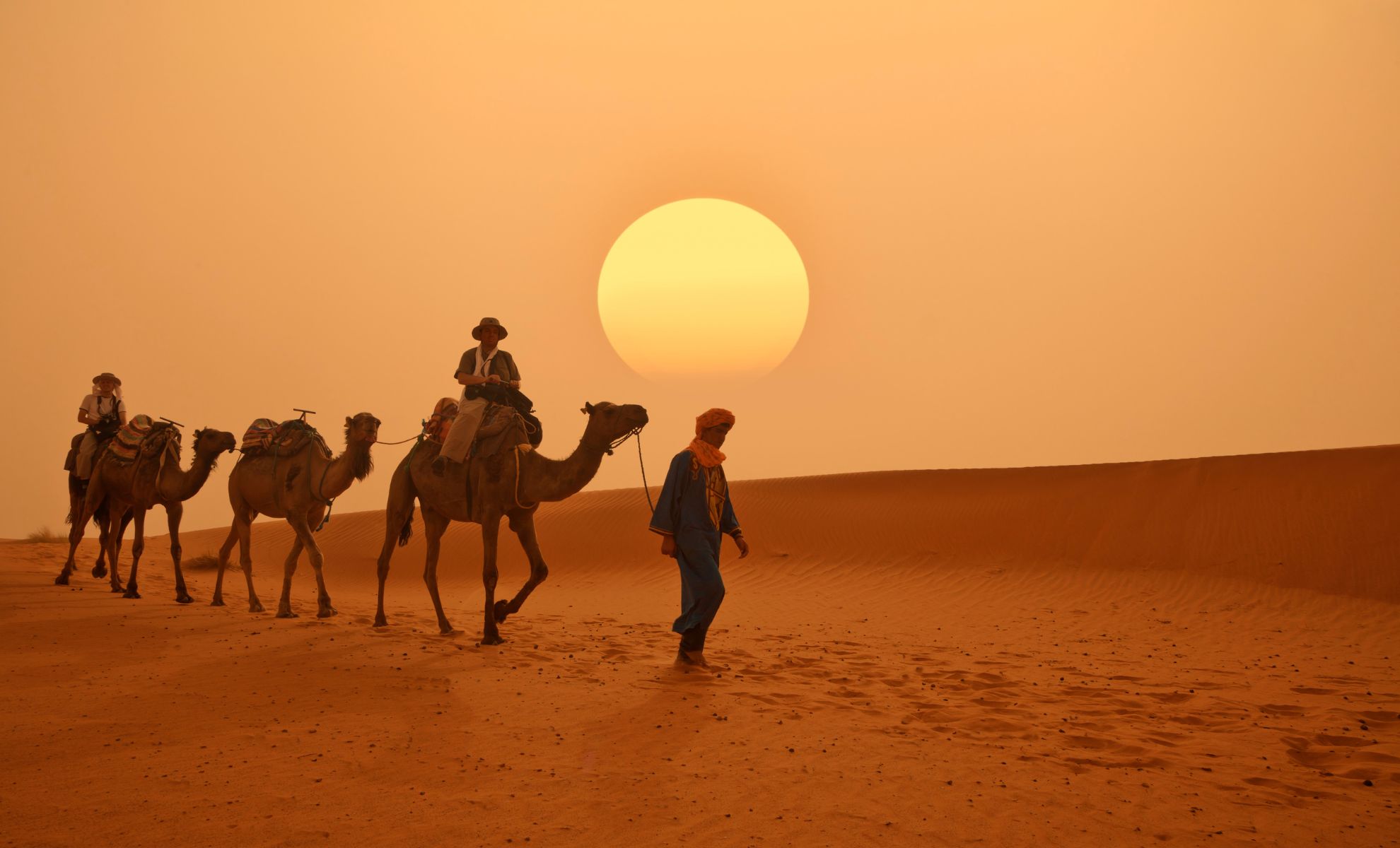 Faire un tour en dromadaire à Marrakech, Maroc