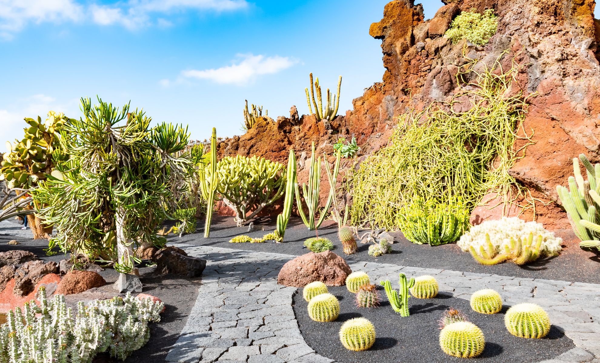 Jardin de Cactus de César Manrique, Lanzarote, archipel des Canaries, Espagne