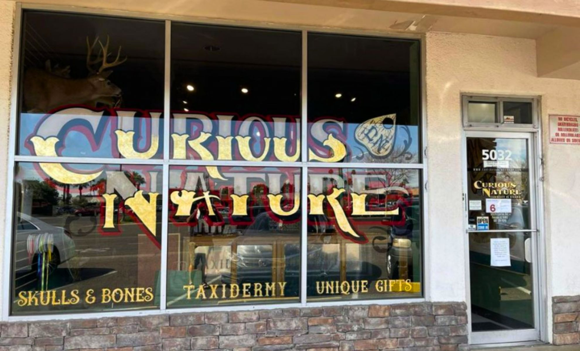 La boutique de Curious Nature, Phoenix, États-Unis