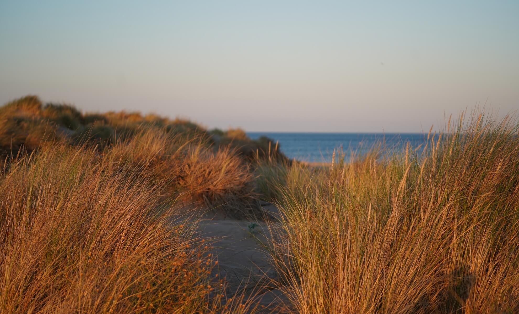 La plage de Sérignan