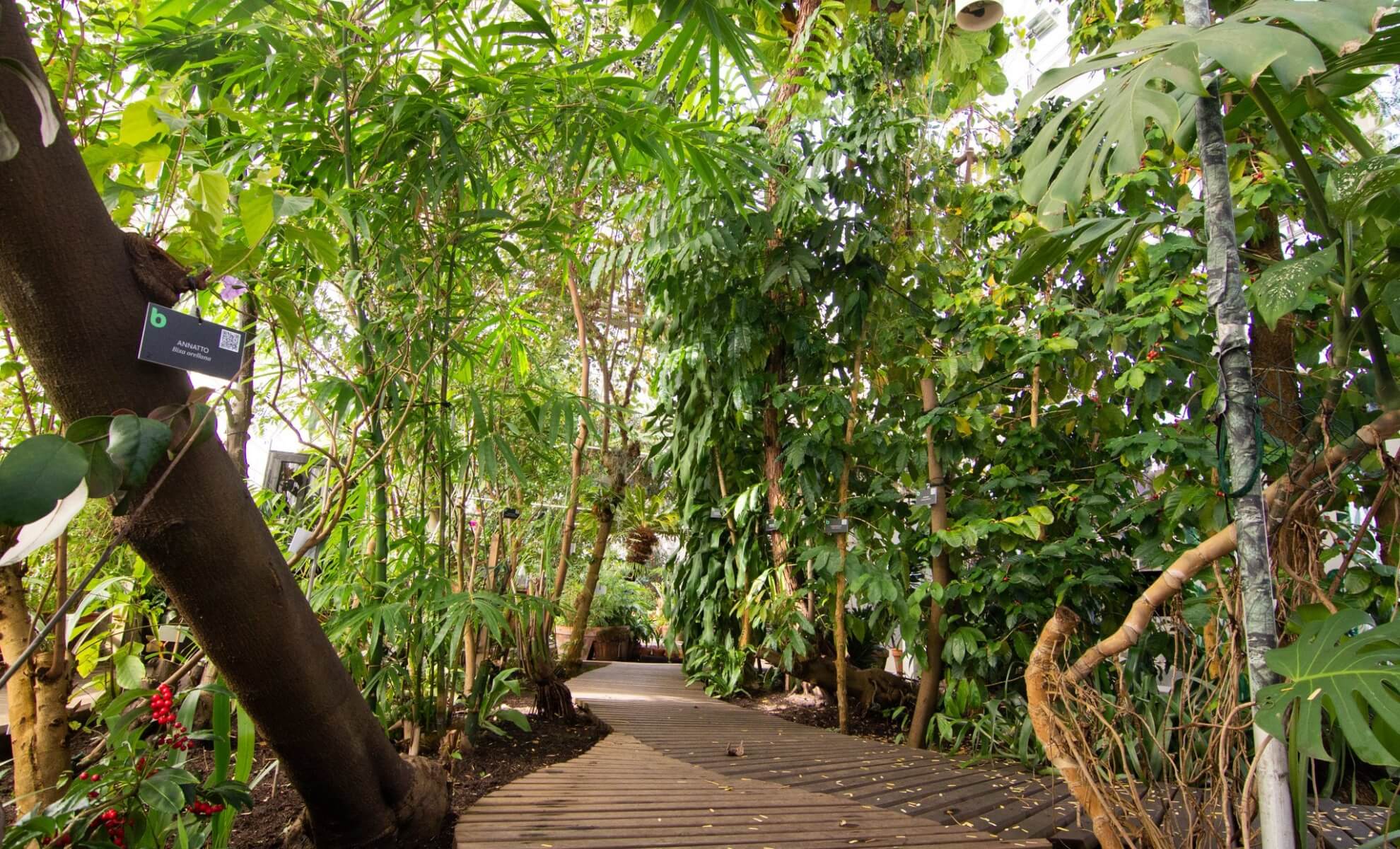 La serre botania de Joensuu en Finlande