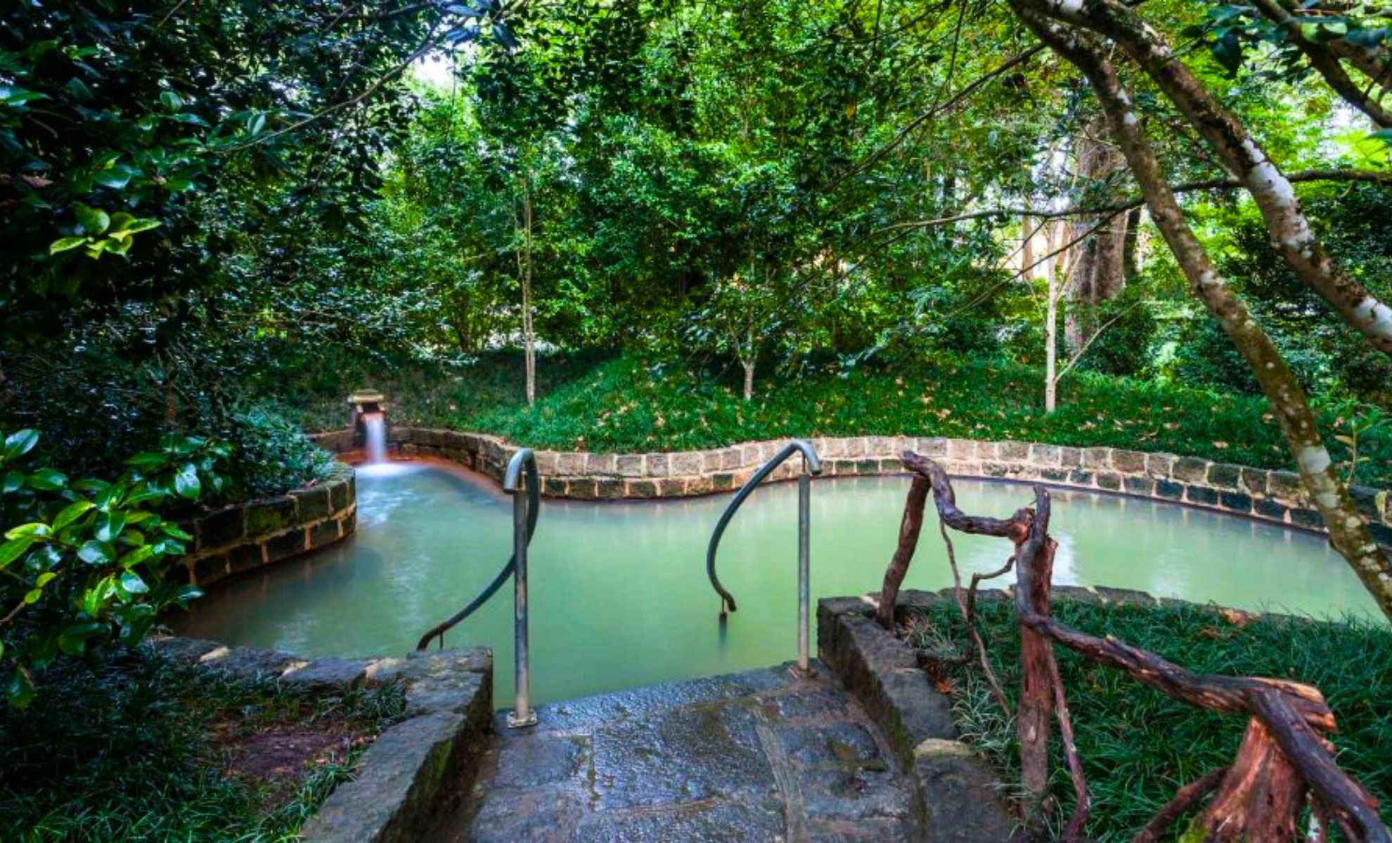 La source Terra Nostra, les Açores, Portugal