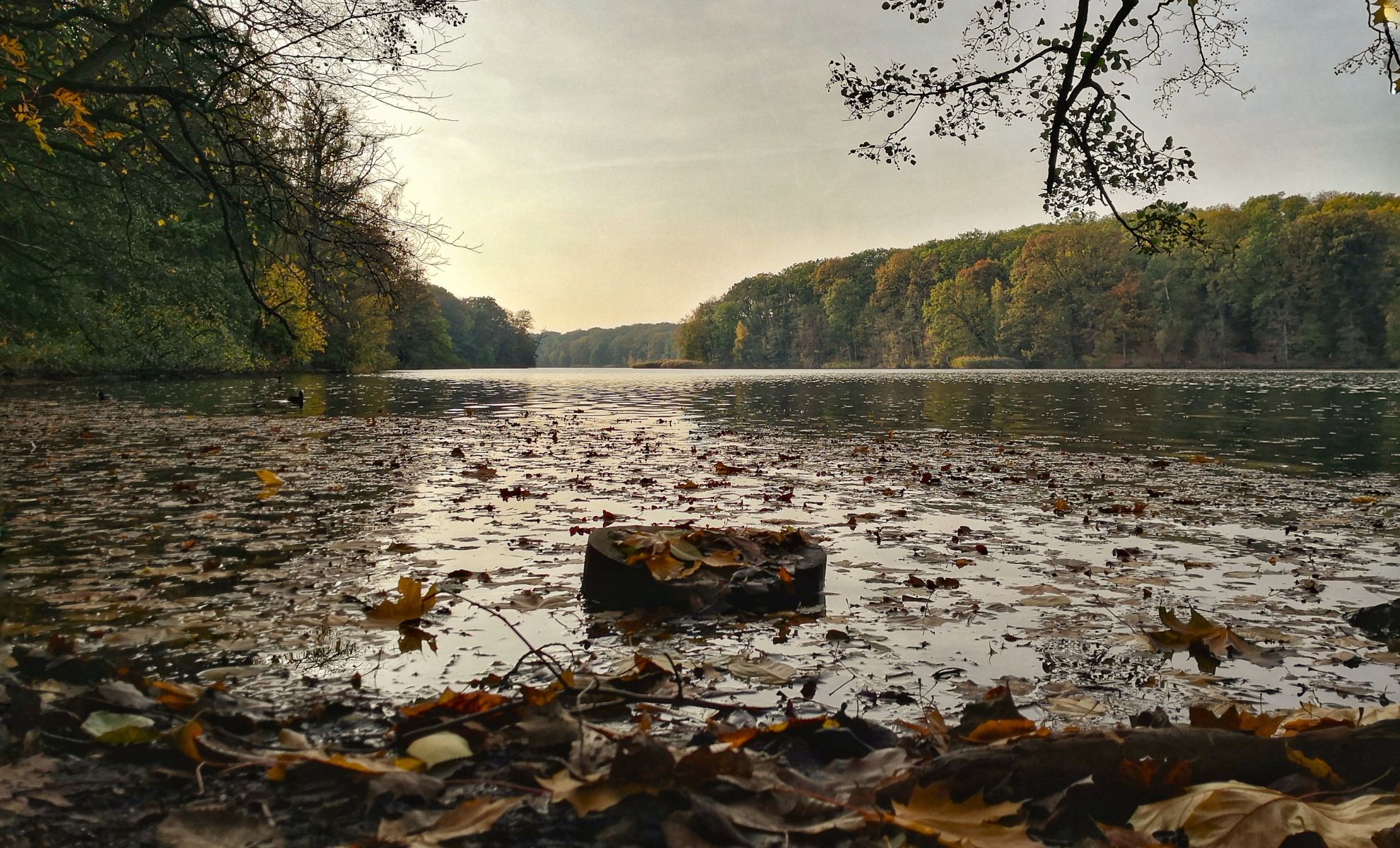 Le Circuit du Schlachtensee, Berlin, Allemagne