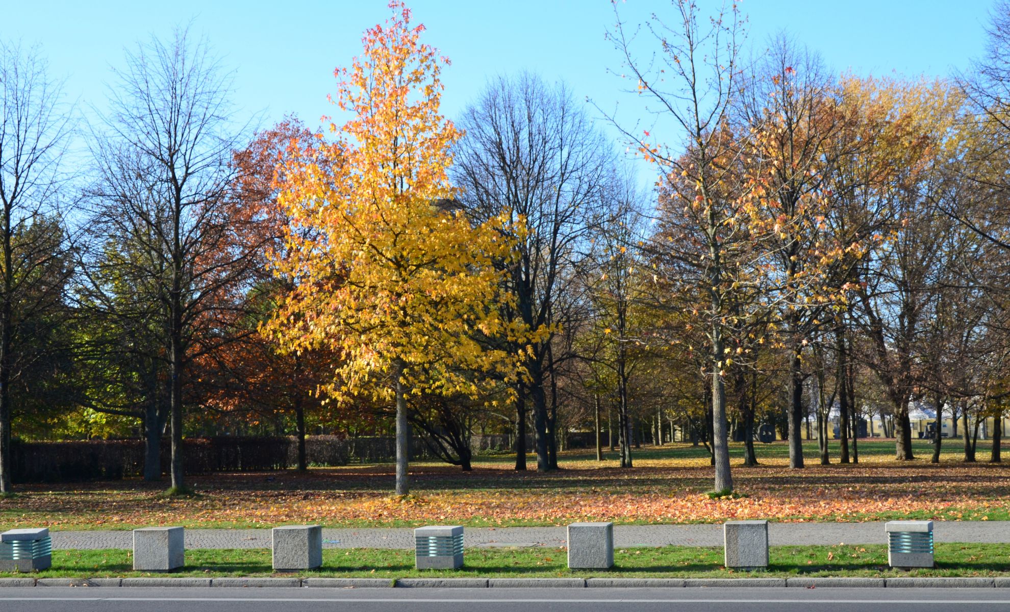 Le Grand Tiergarten, Berlin, Allemagne