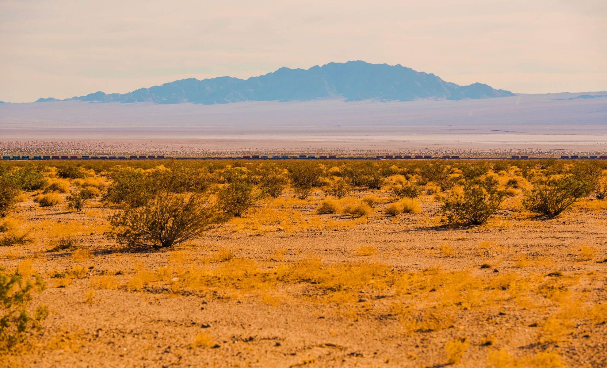 Le désert de Mojave, État-Unis