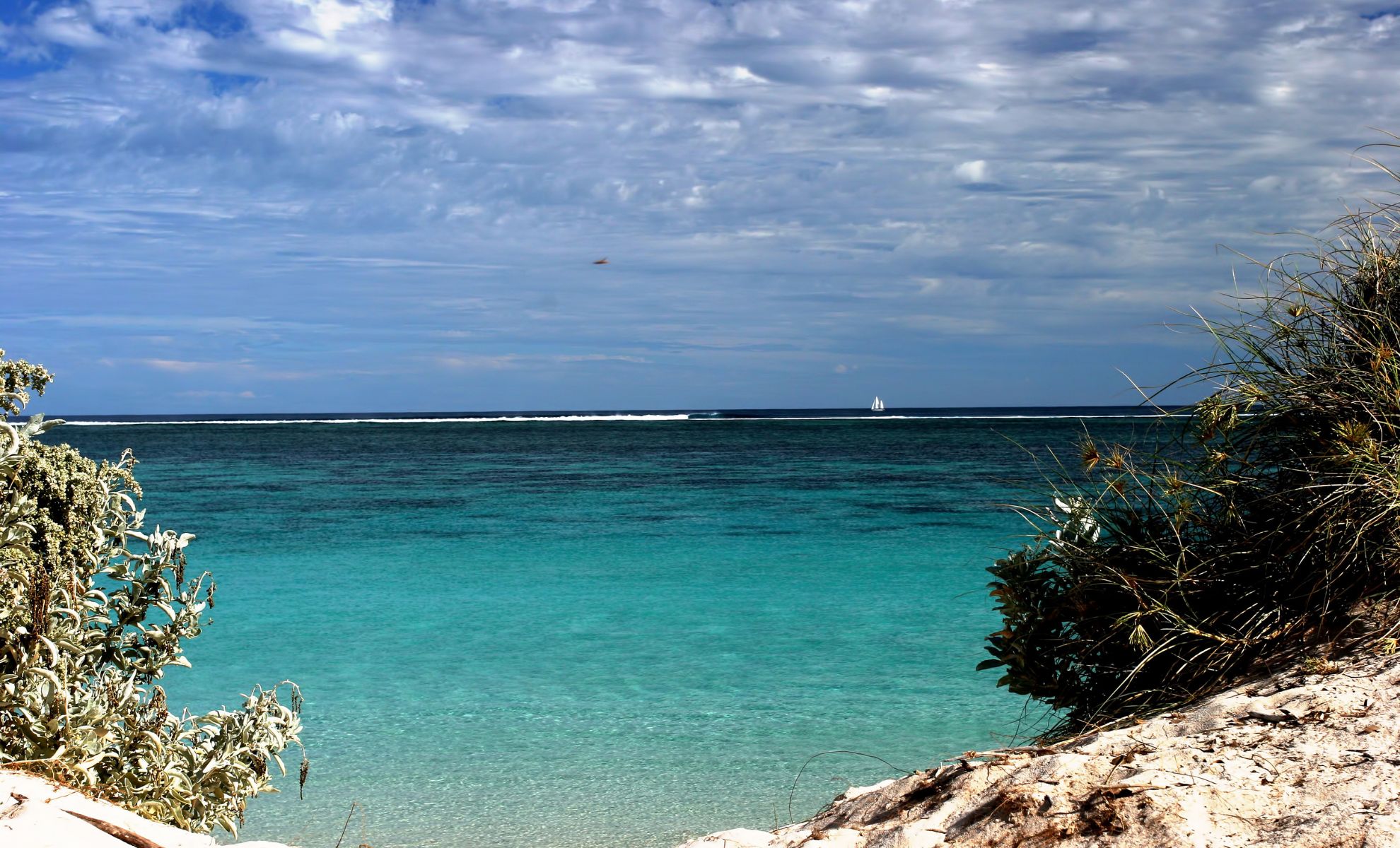 Le récif Ningaloo, Australie