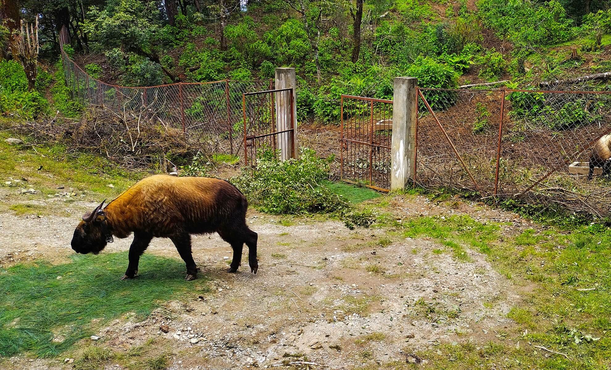 Le sanctuaire Sakteng Wildlife à Bhoutan