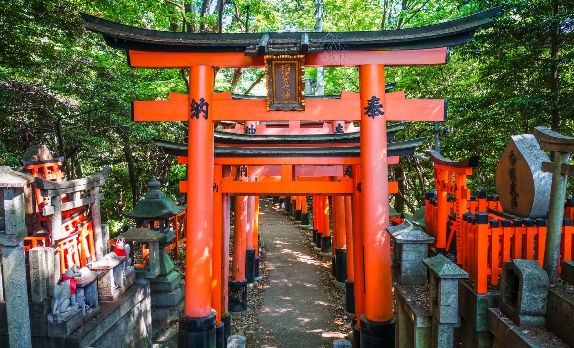 Le temple Fushimi Inari Taisha Torii, Kyoto, Japon