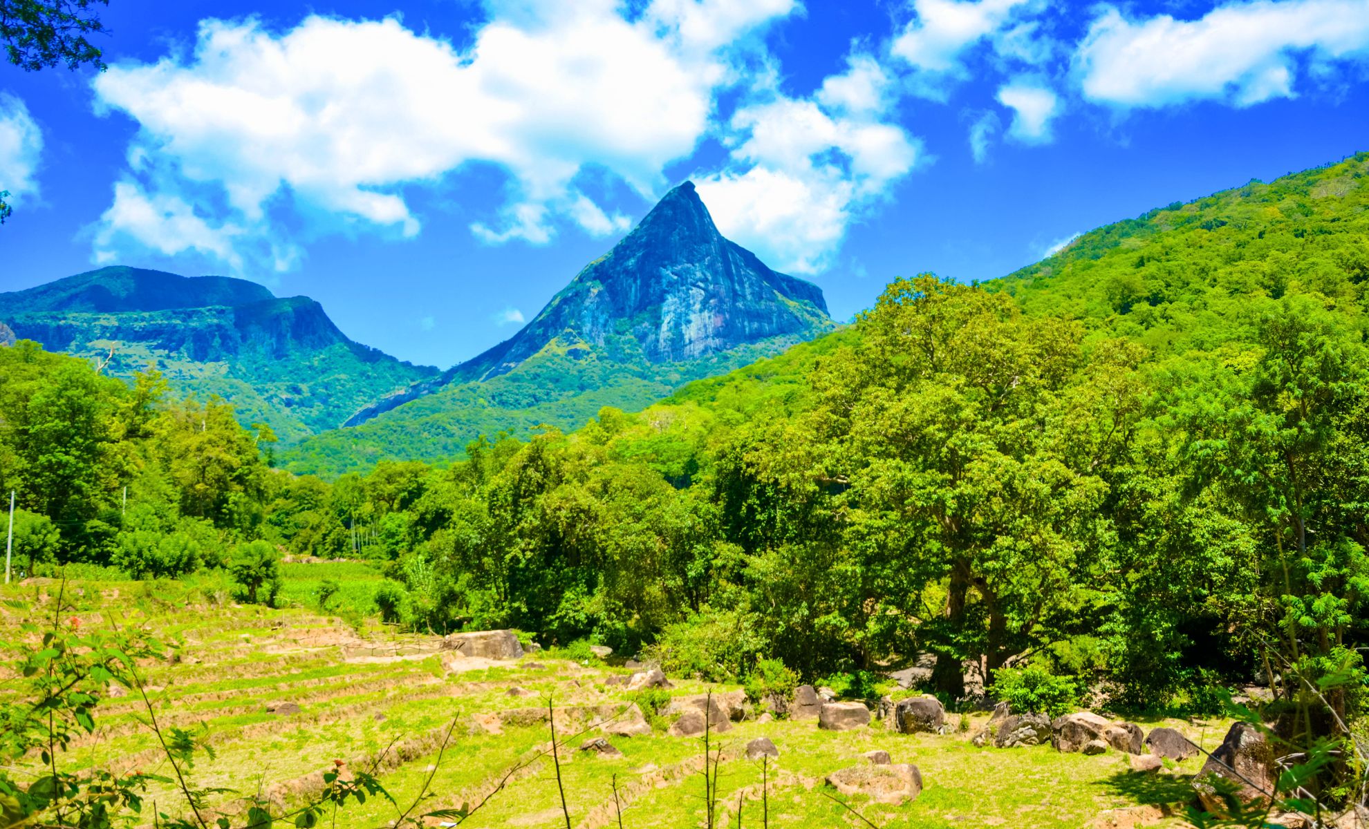 Les Knuckles Mountains, Sri Lanka