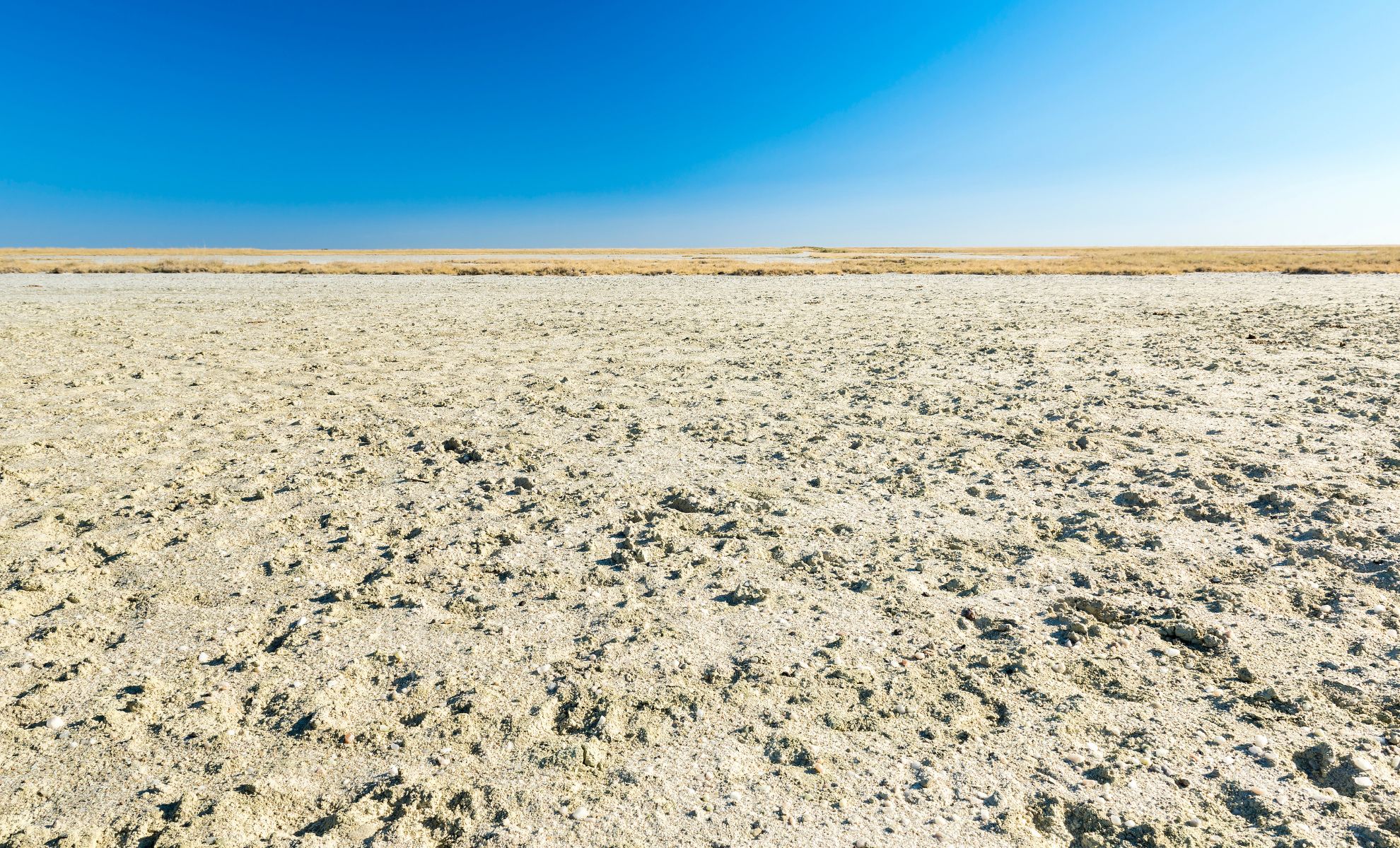 Les pans de Makgadikgadi, Botswana