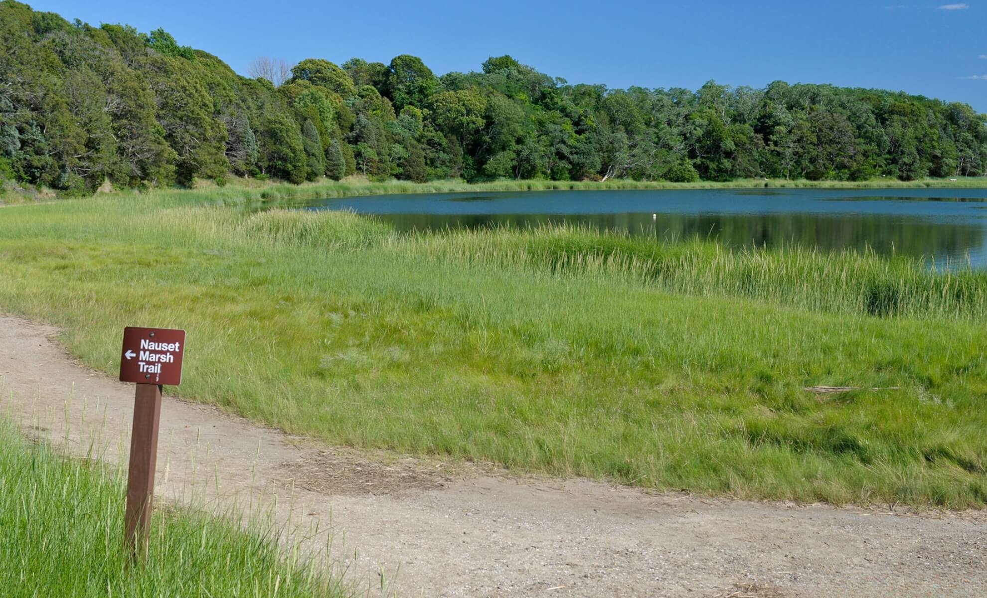 Nauset Marsh Trail aux États-Unis