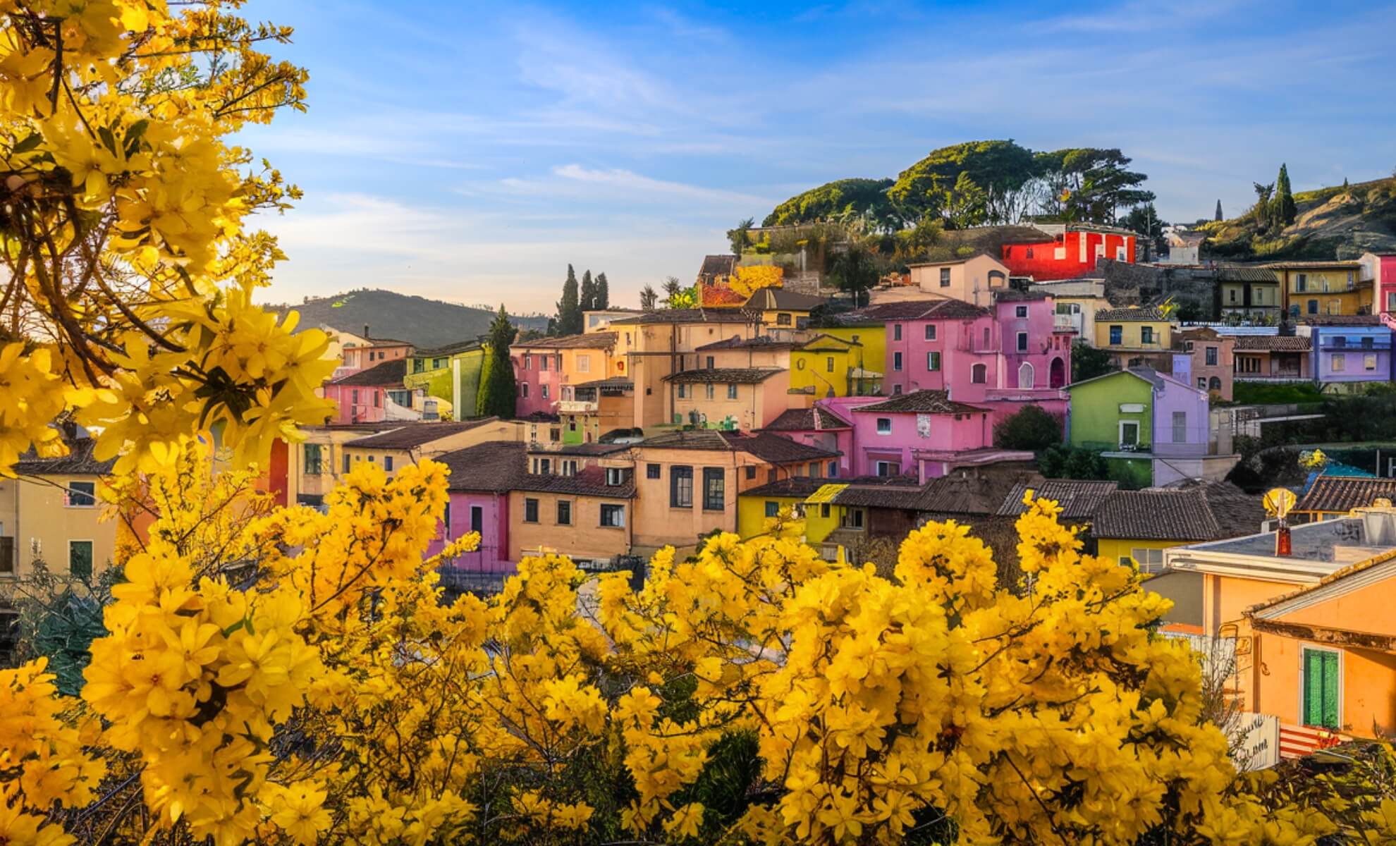 Bormes-les-Mimosas