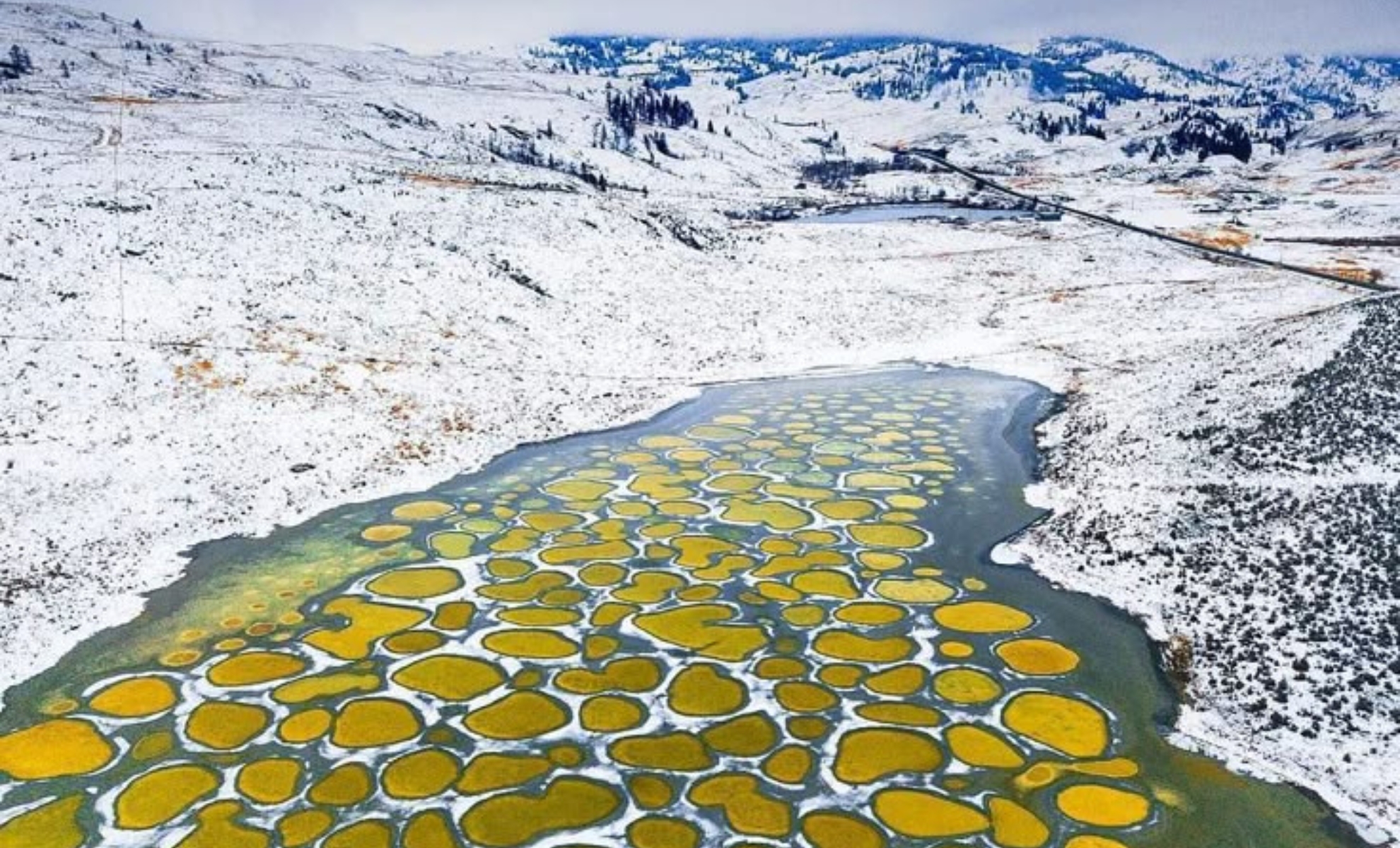 Spotted Lake