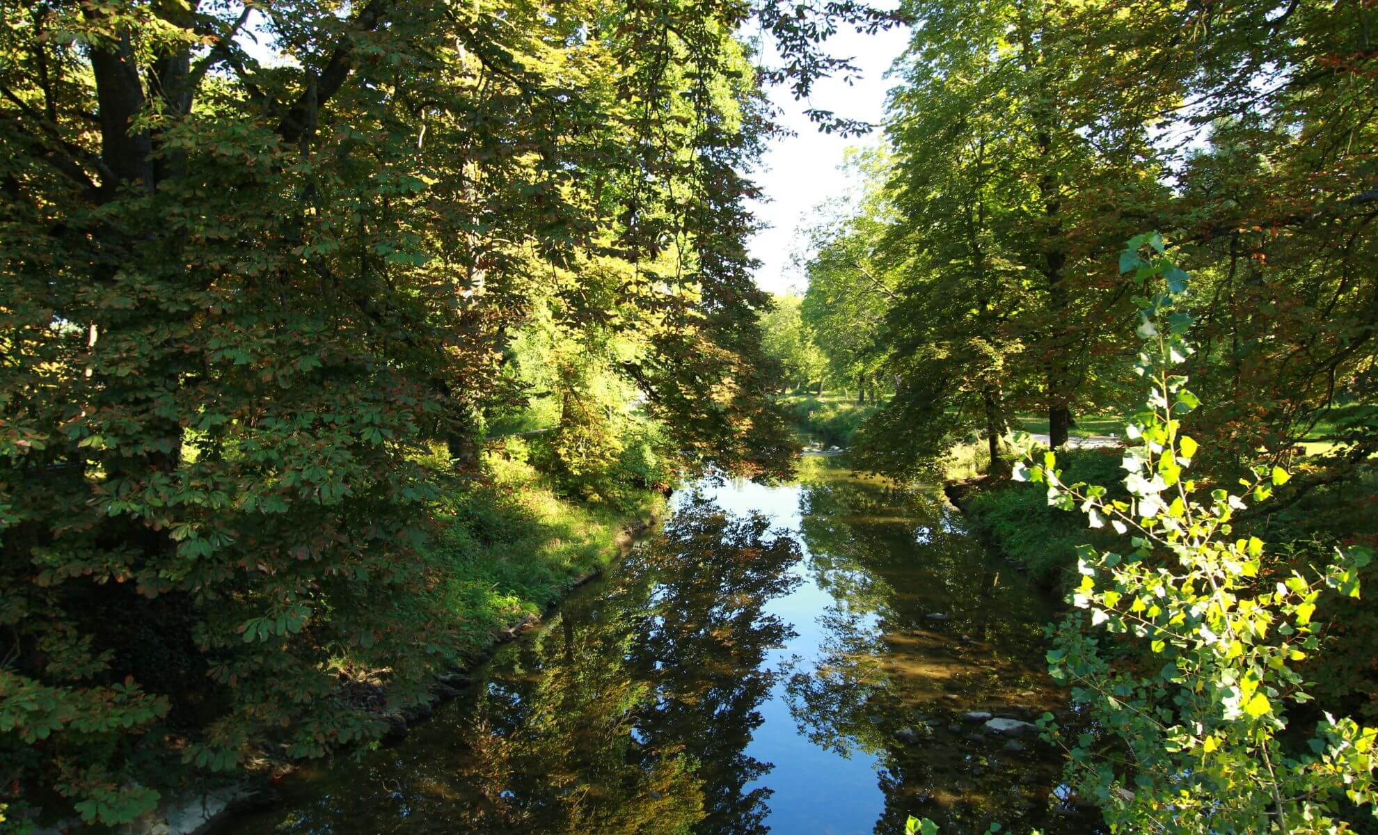 forêt de la Robertsau