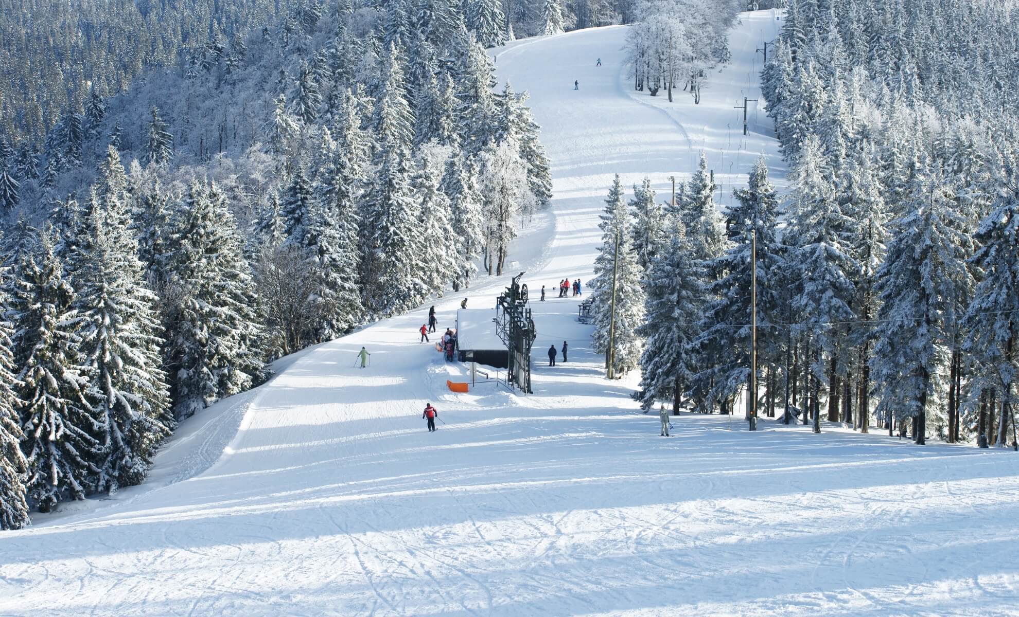ski