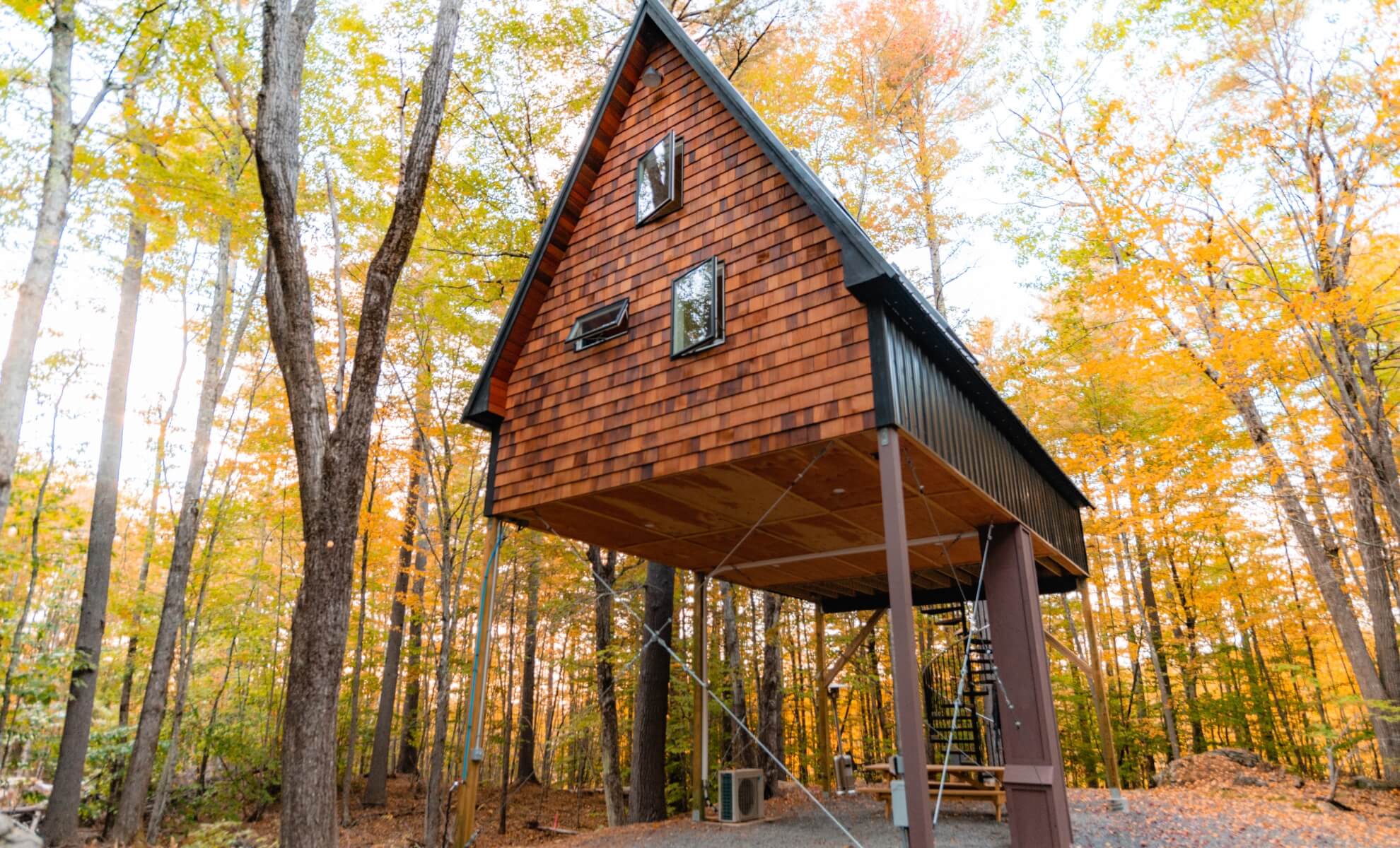Cabane Bordeaux
