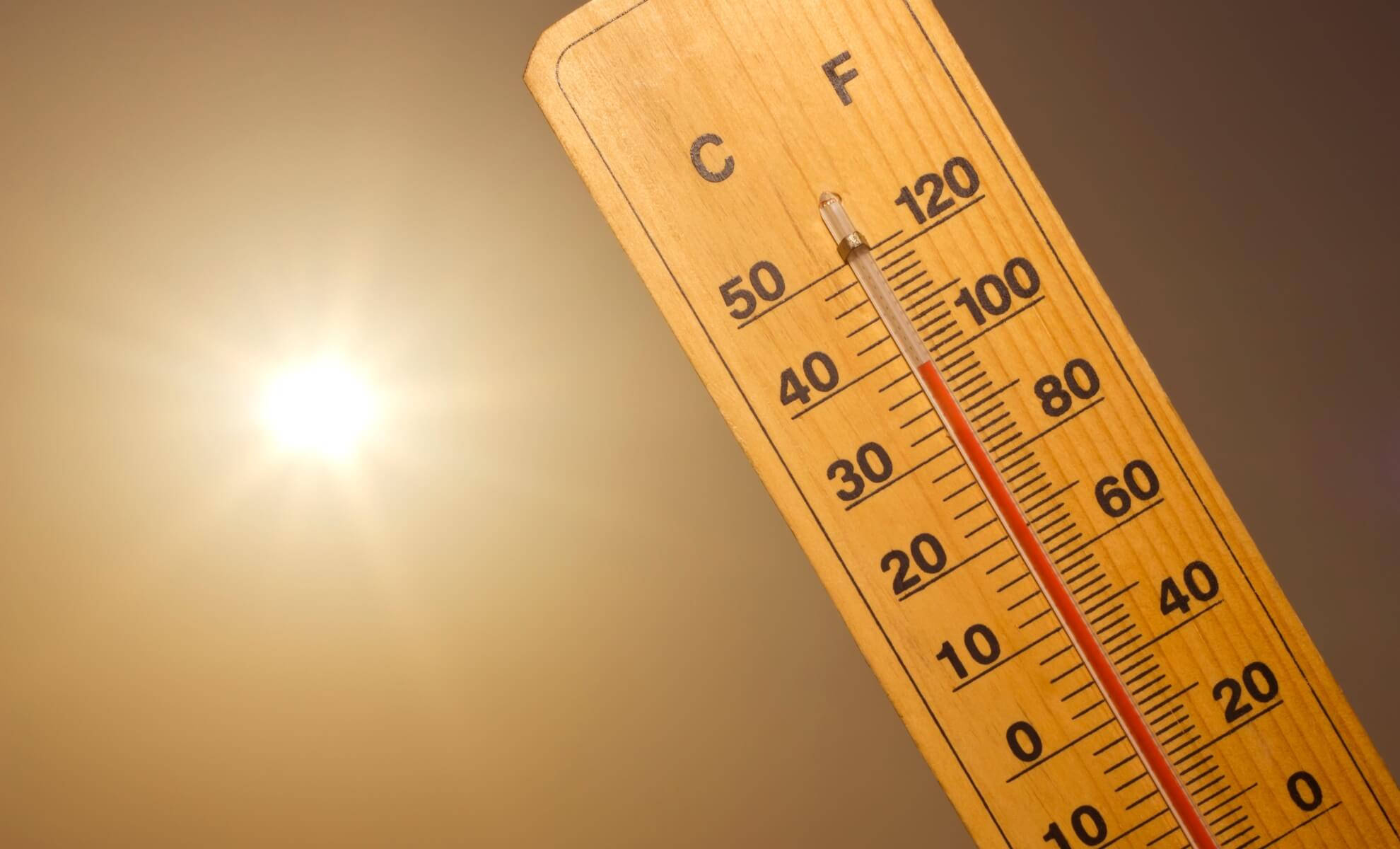 canicule