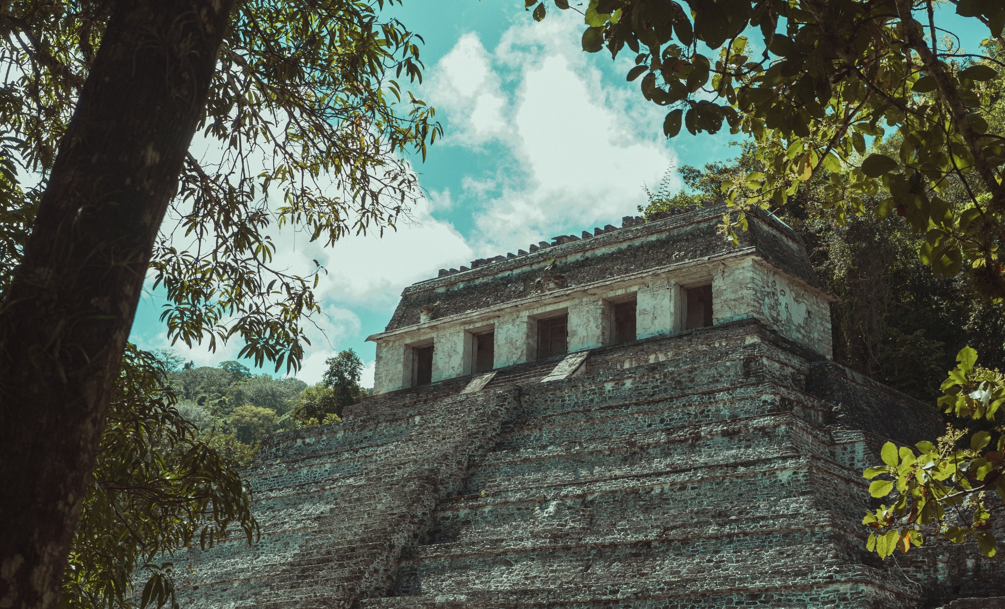 CIté Maya