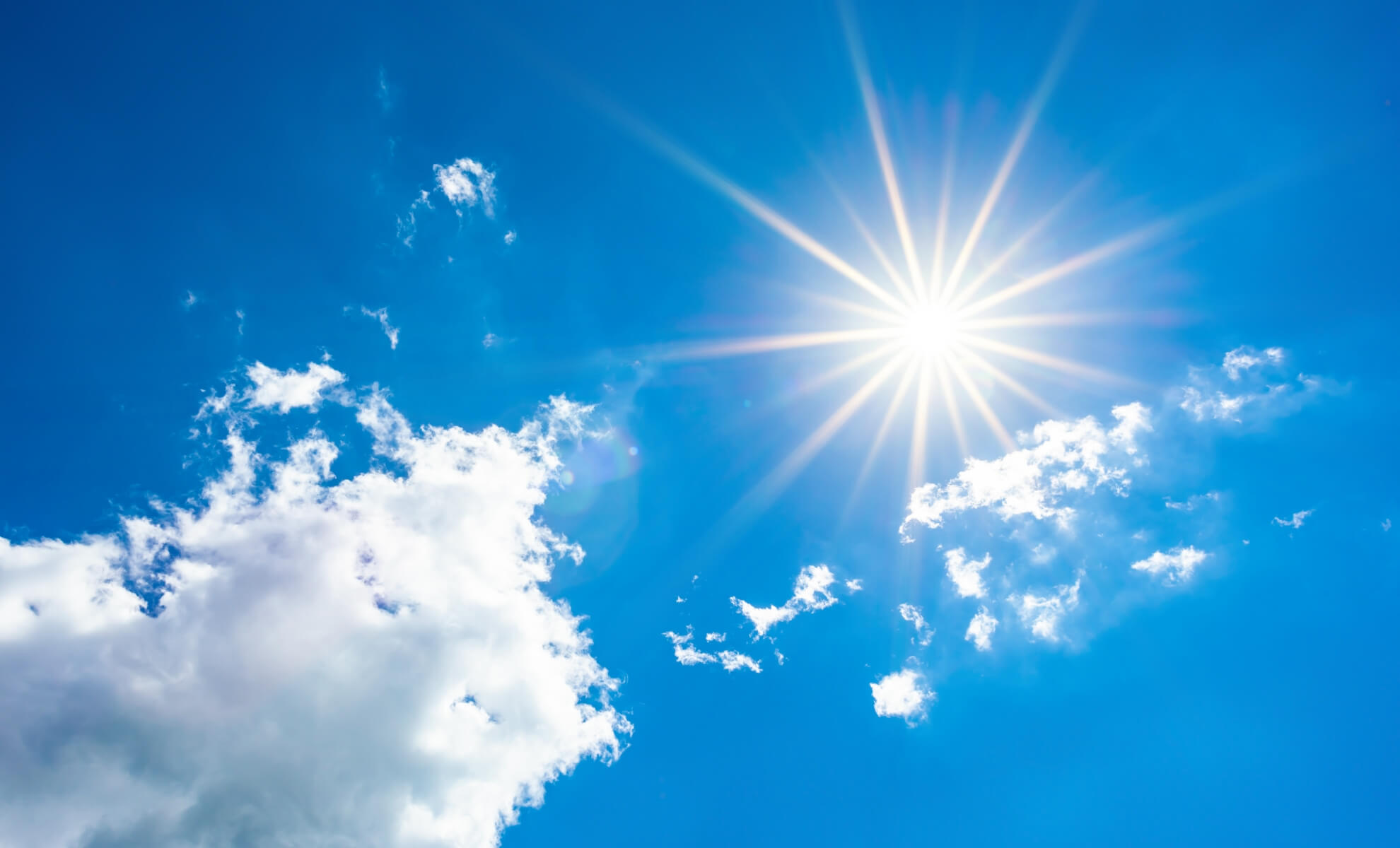 Canicule