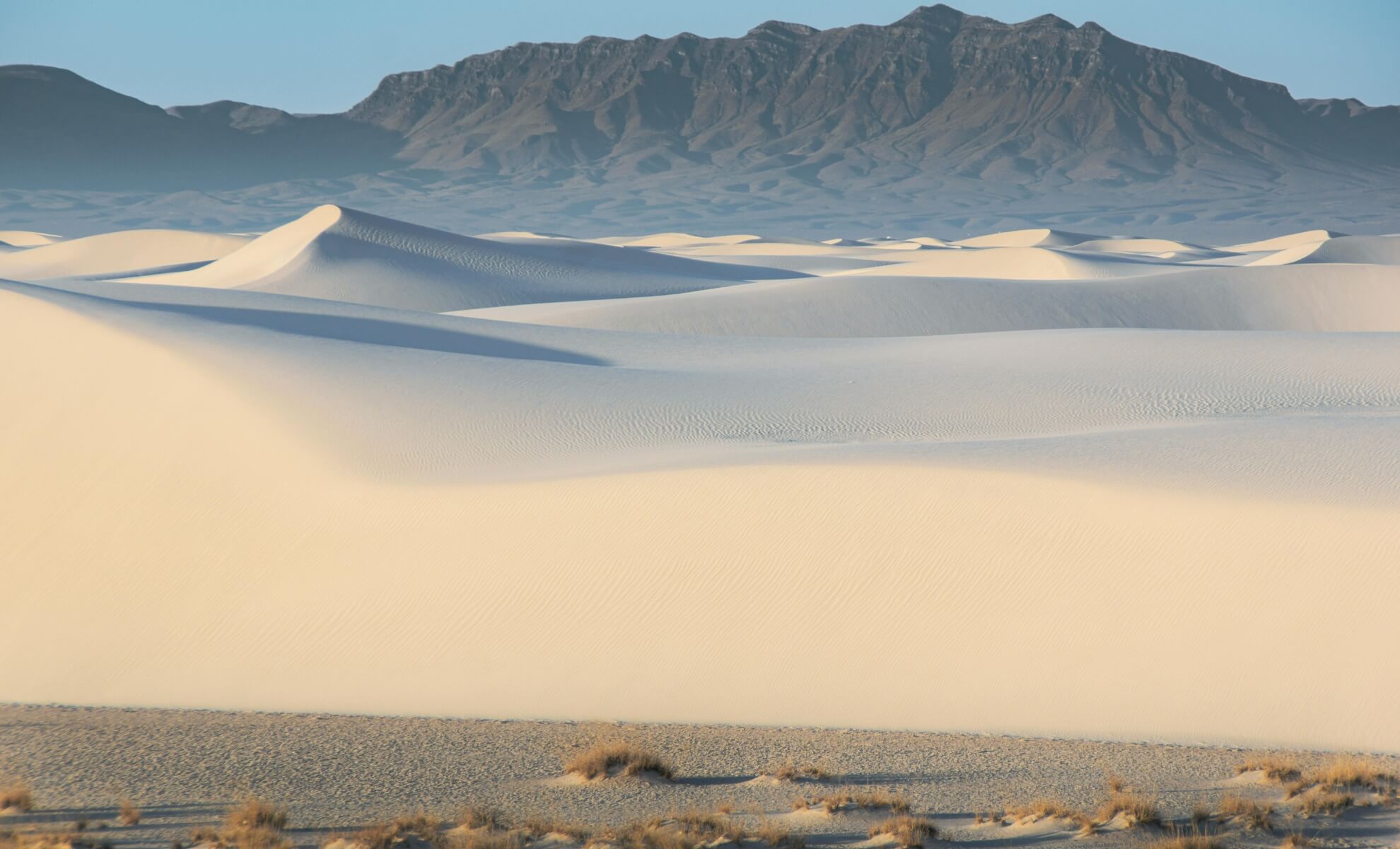 Desert du Nouveau-Mexique