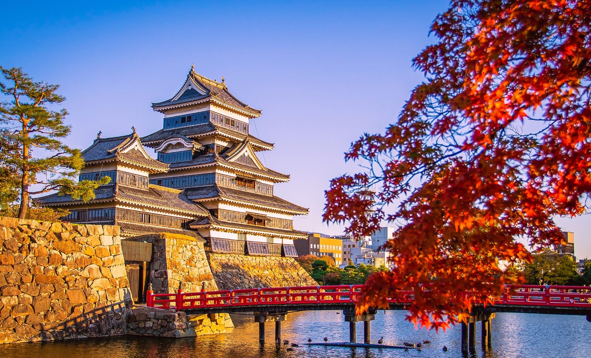 Japon