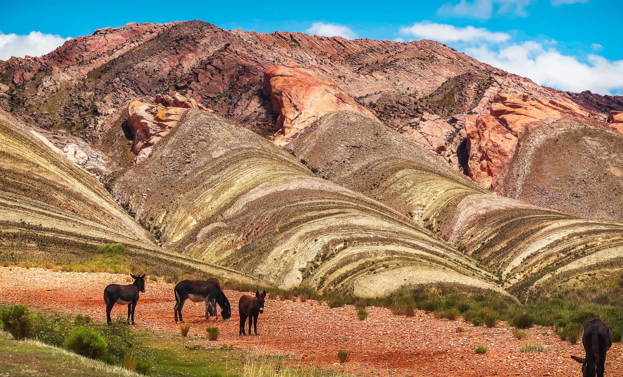 altiplano