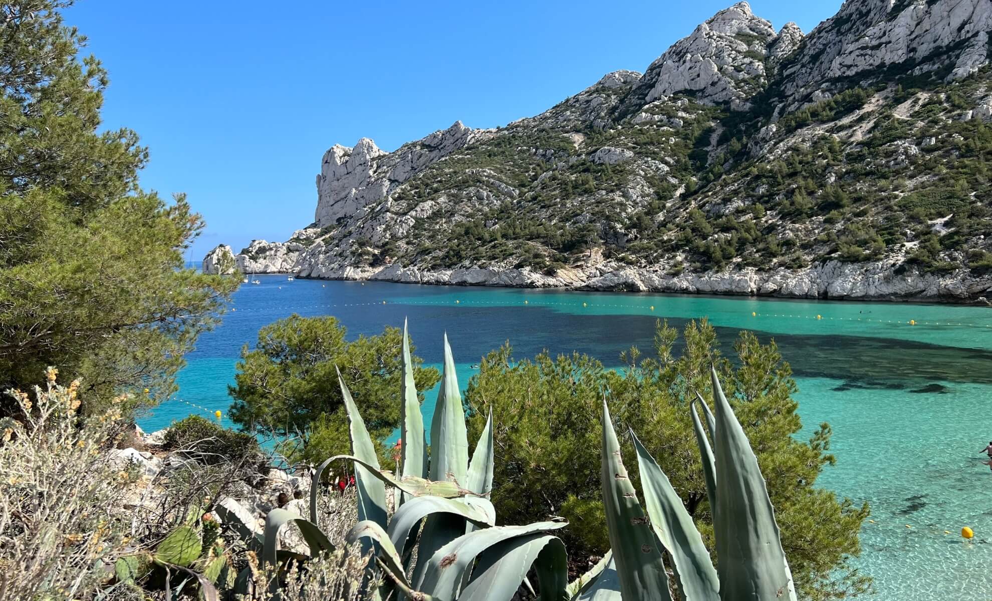 Corse
