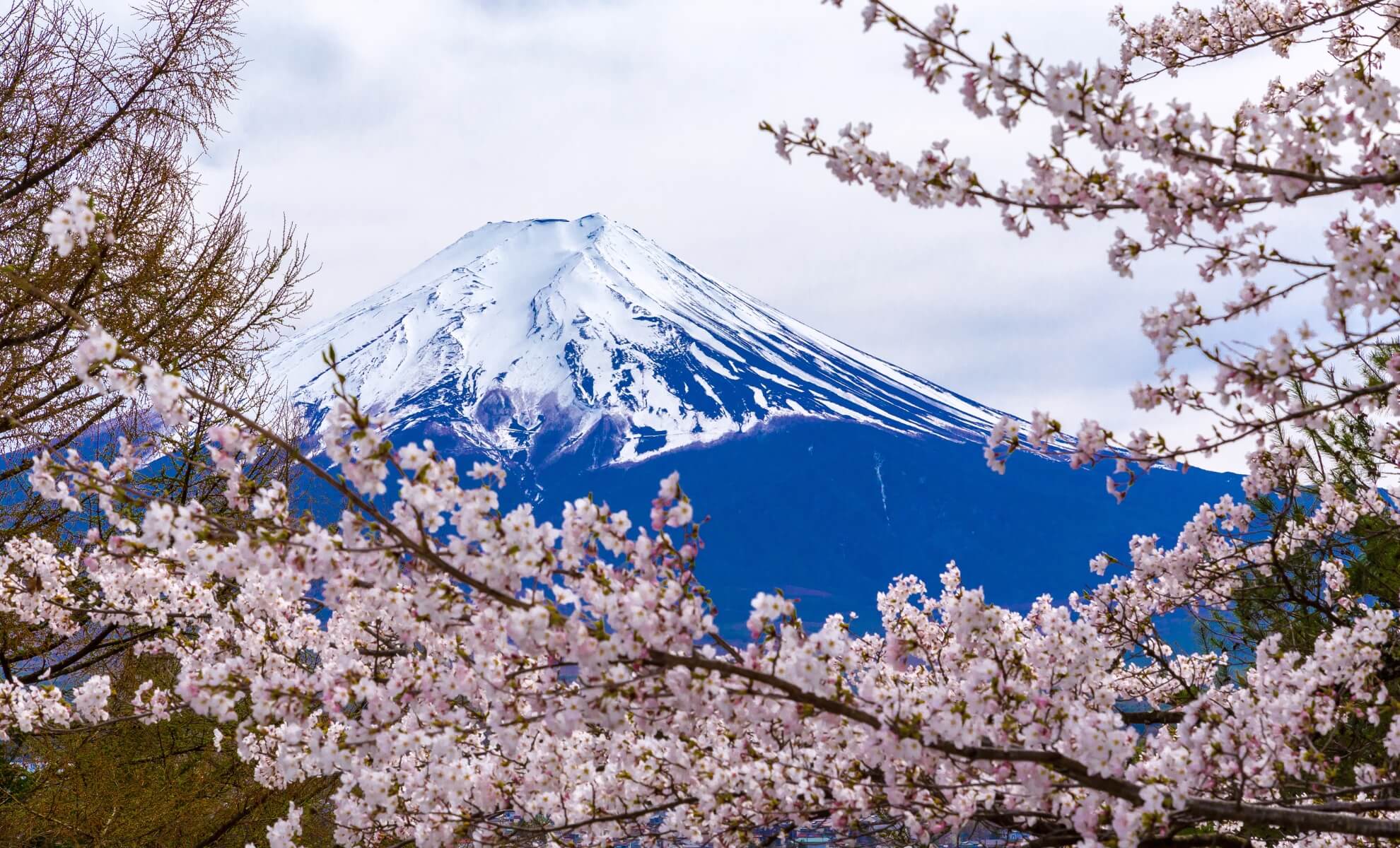 Mont Fuji