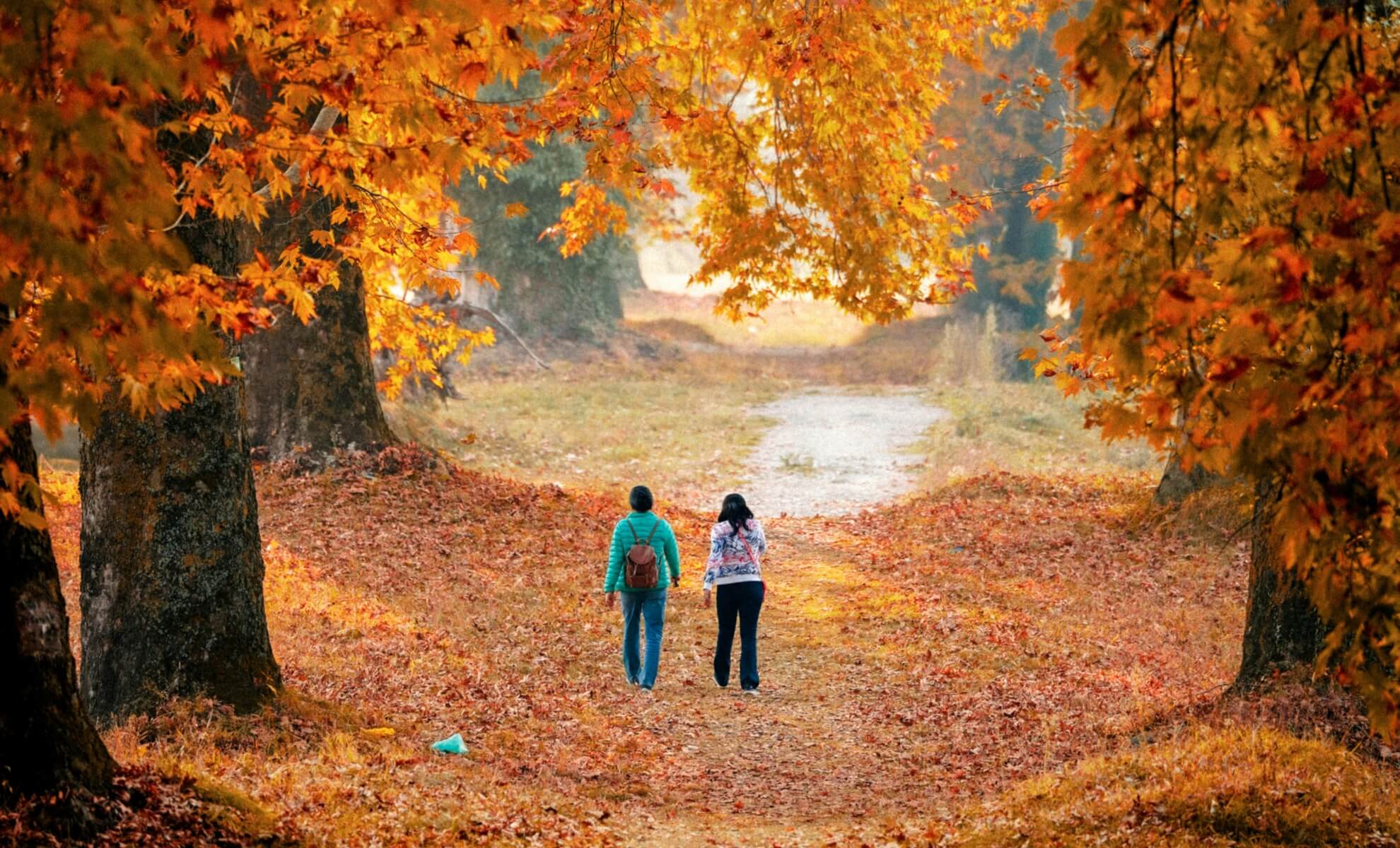 Automne