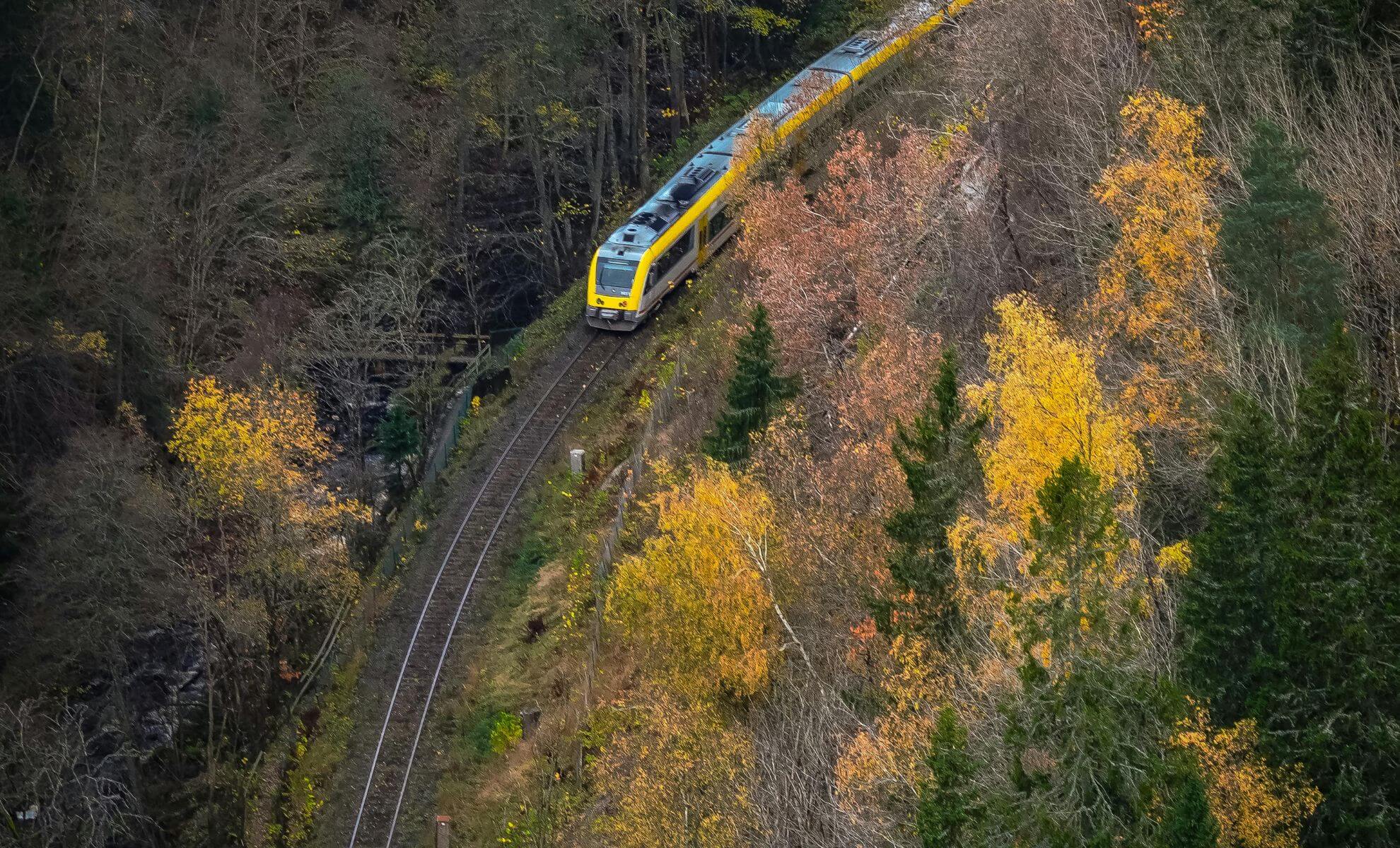 Automne