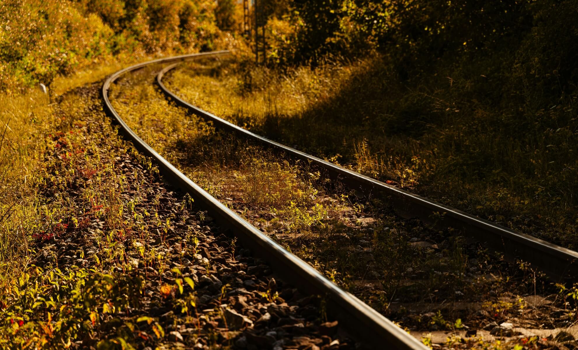 Automne