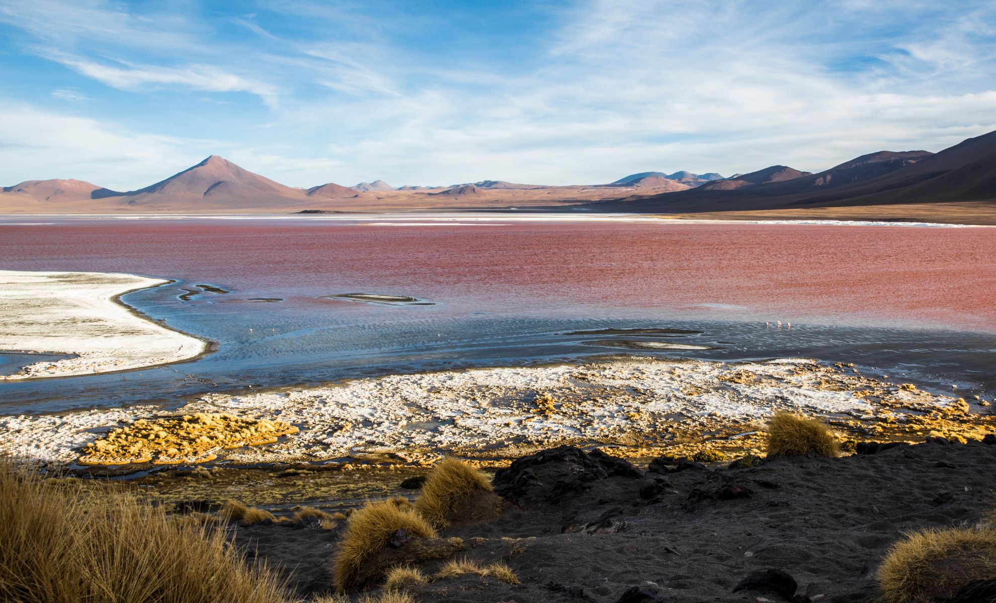Flamants, sel et lac
