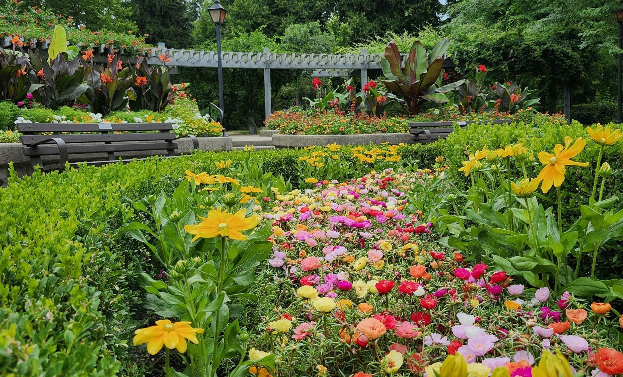 Jardin floral