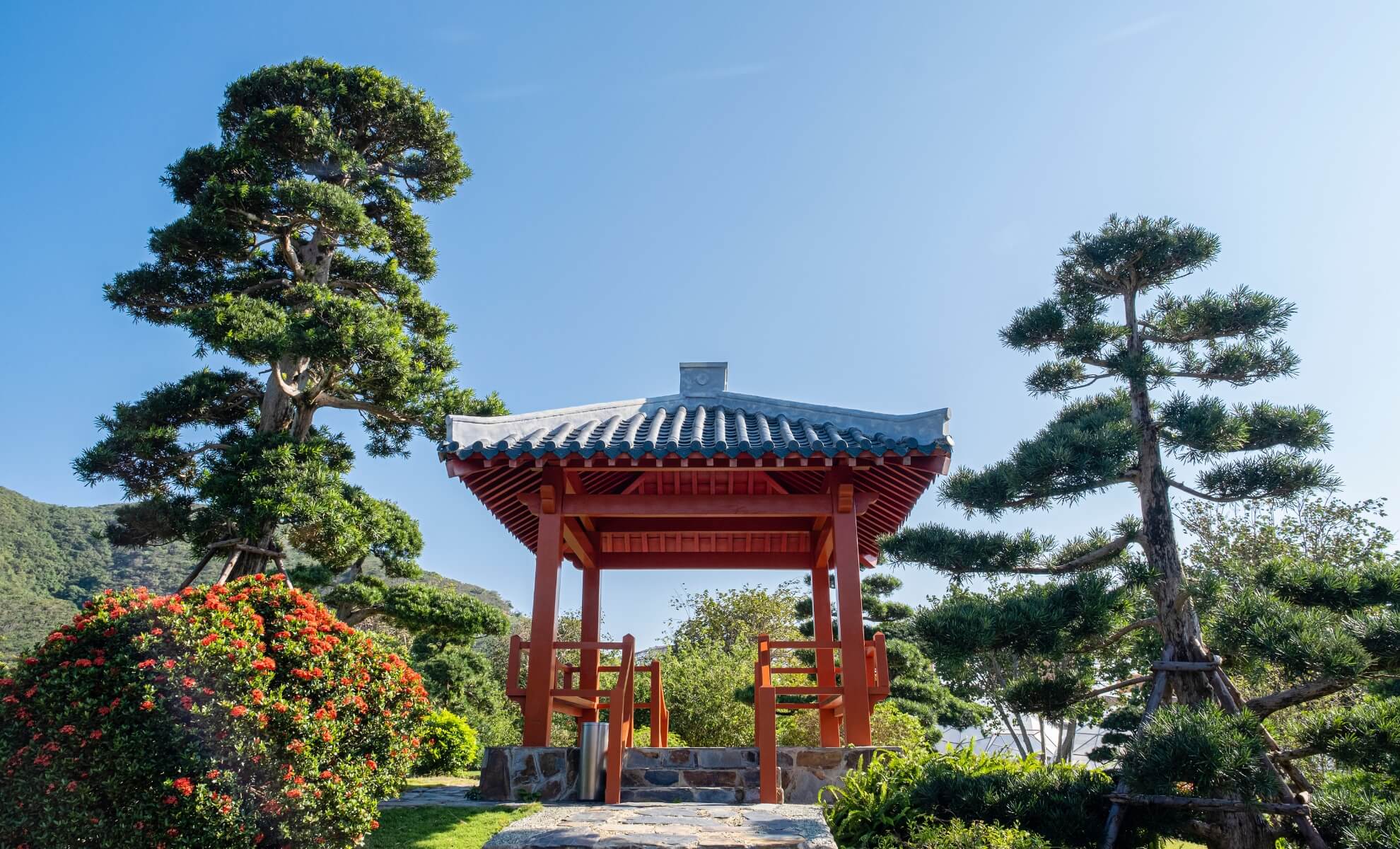 Jardin japonais