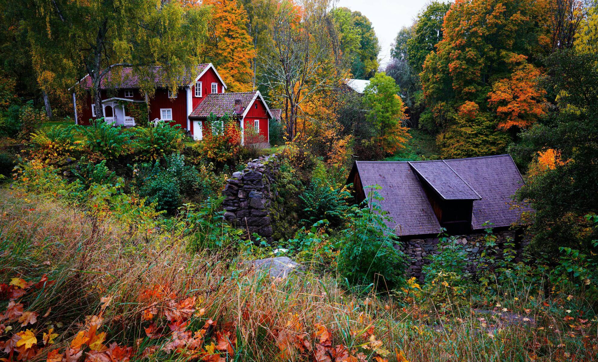 Village