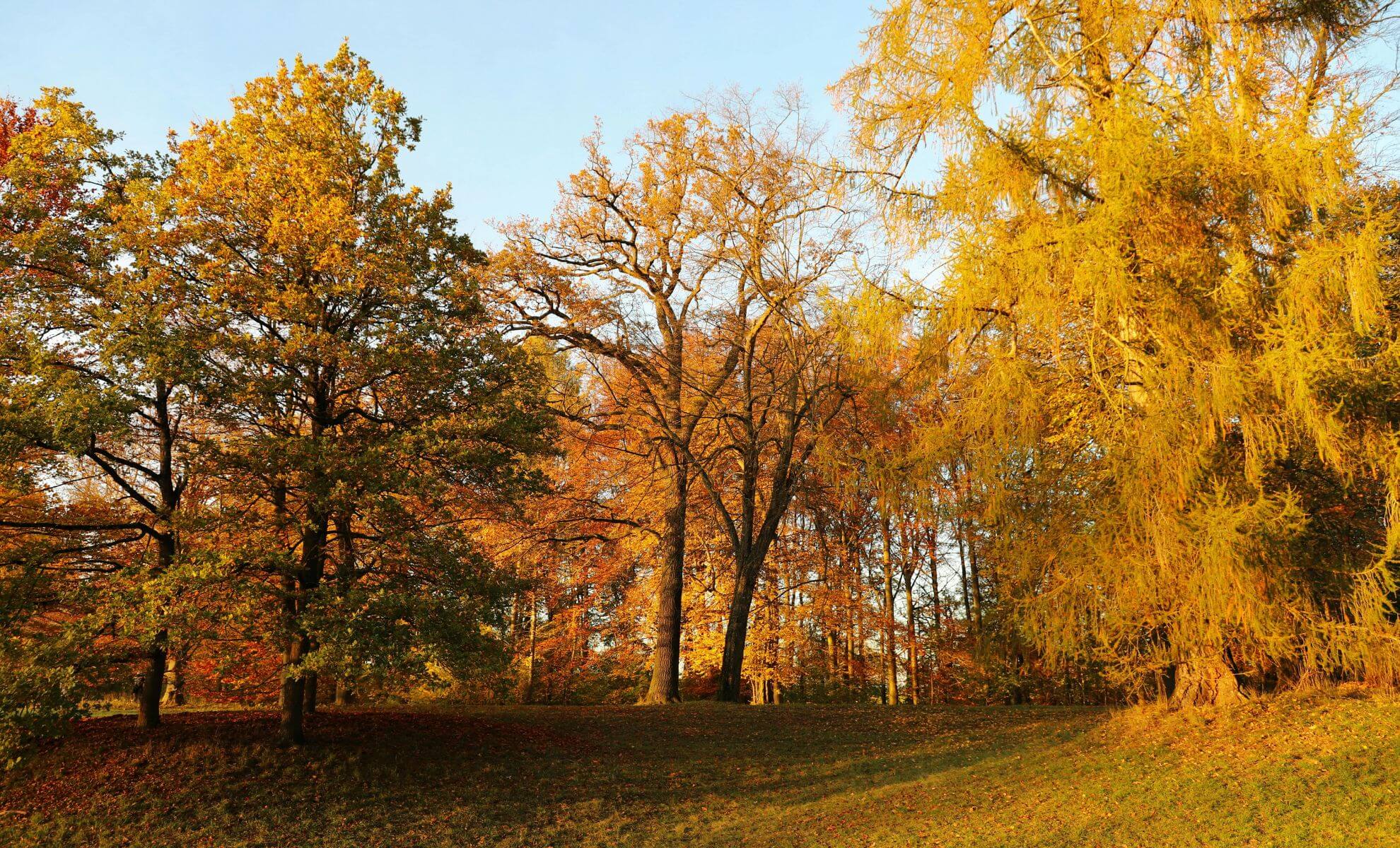 parc